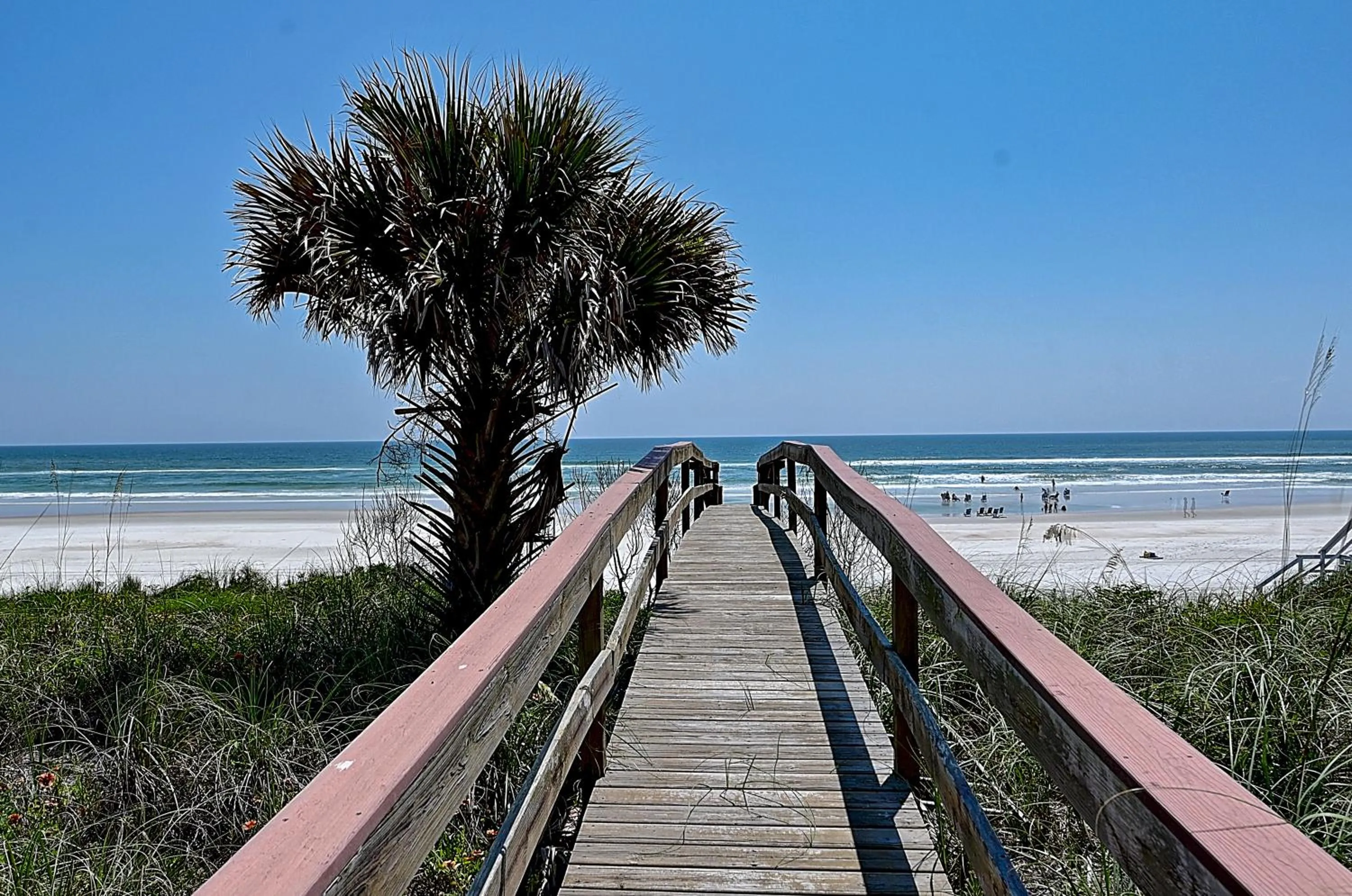 Other in Ocean Paradise