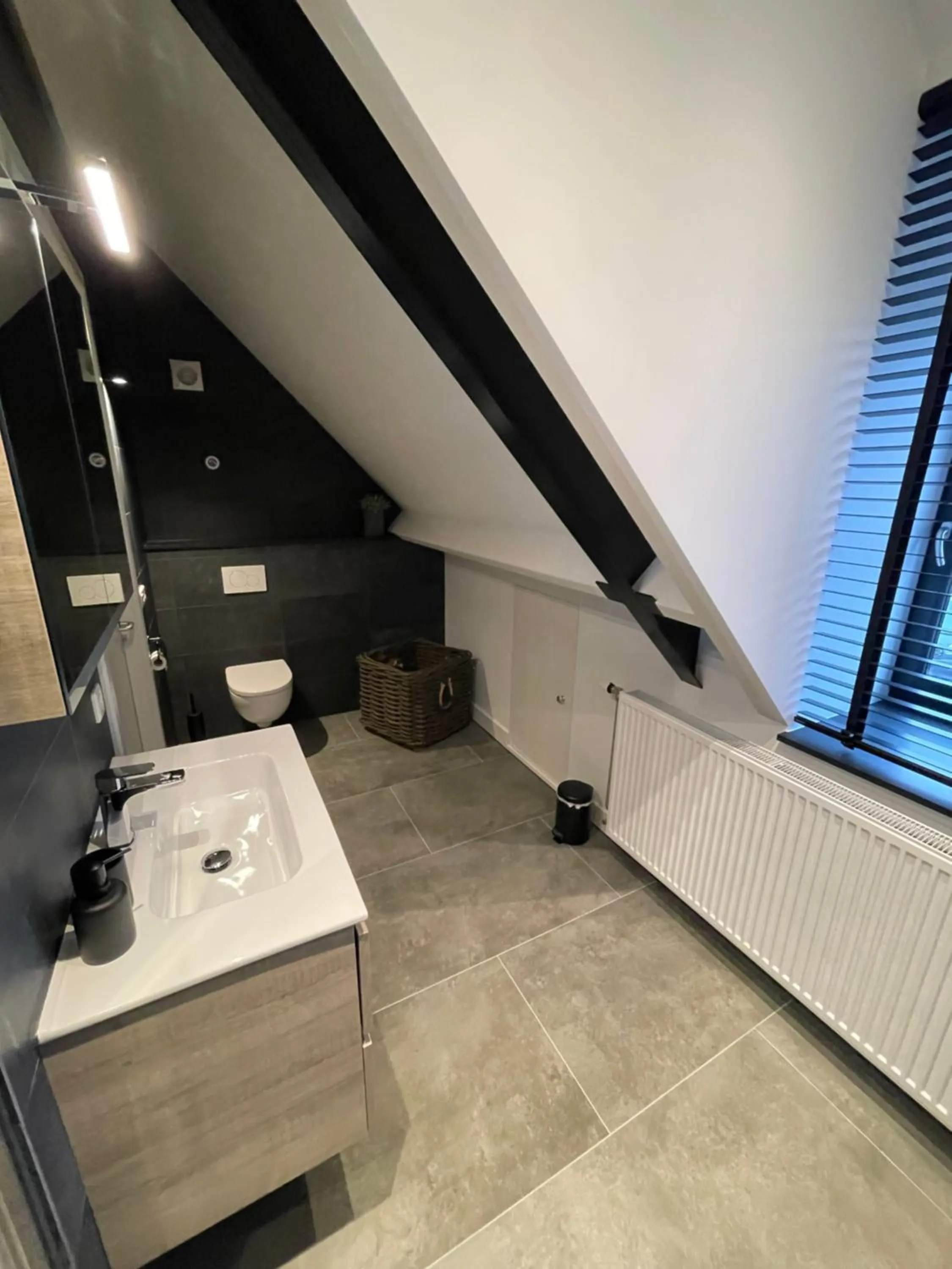 Toilet, Bathroom in B en B Stipdonk