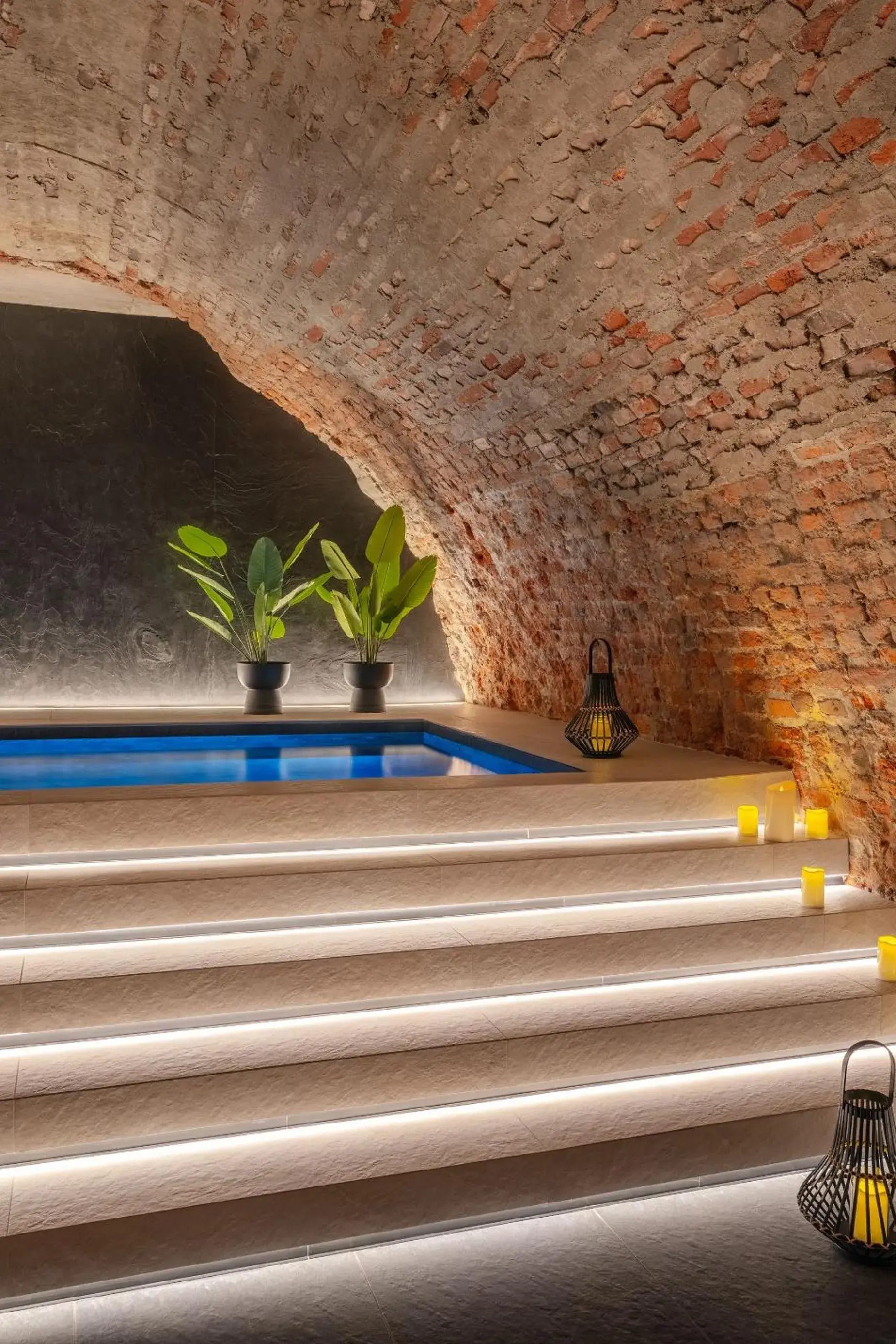 Muse by StayLab Muse by StayLab