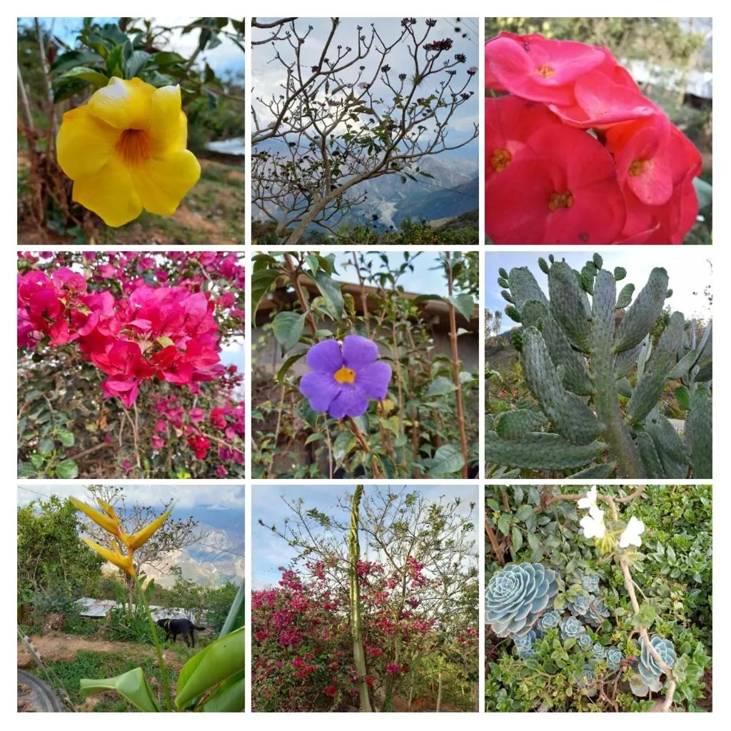 HOTEL CAMPESTRE ABRAZO DEL ANGEL