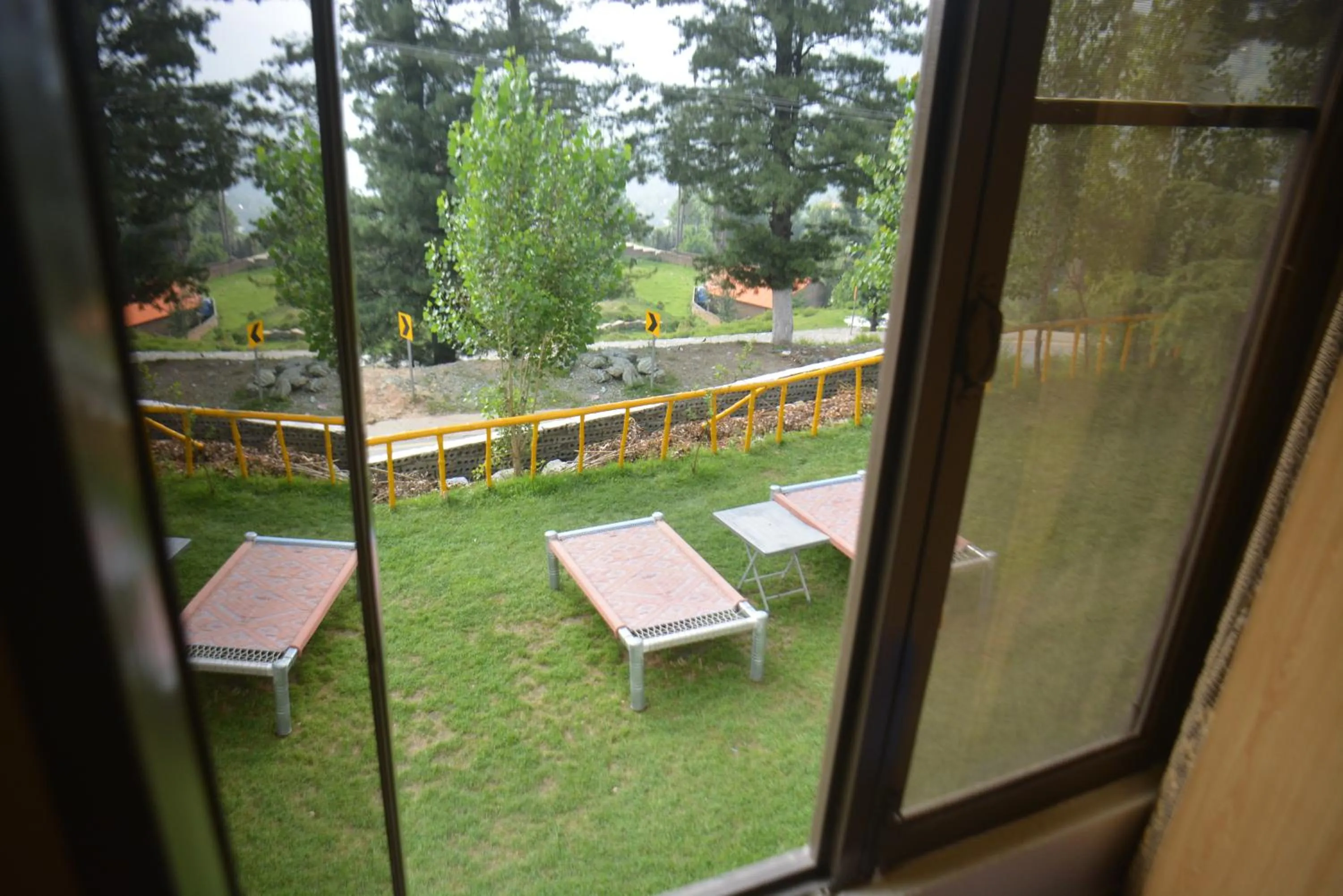 Garden in Eagle Nest, Malam Jabba by LMC