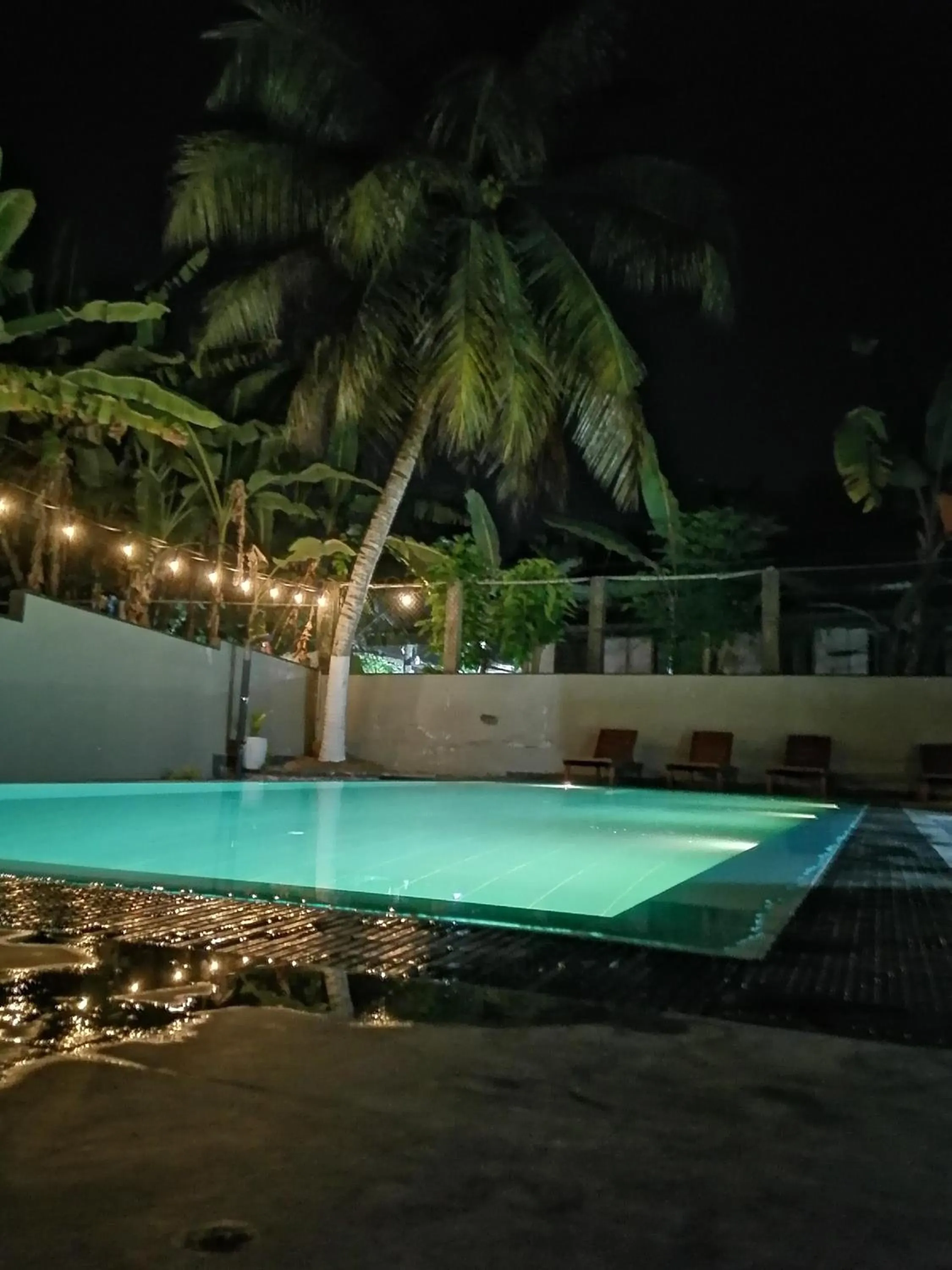 Swimming pool in Urban Galle Villa