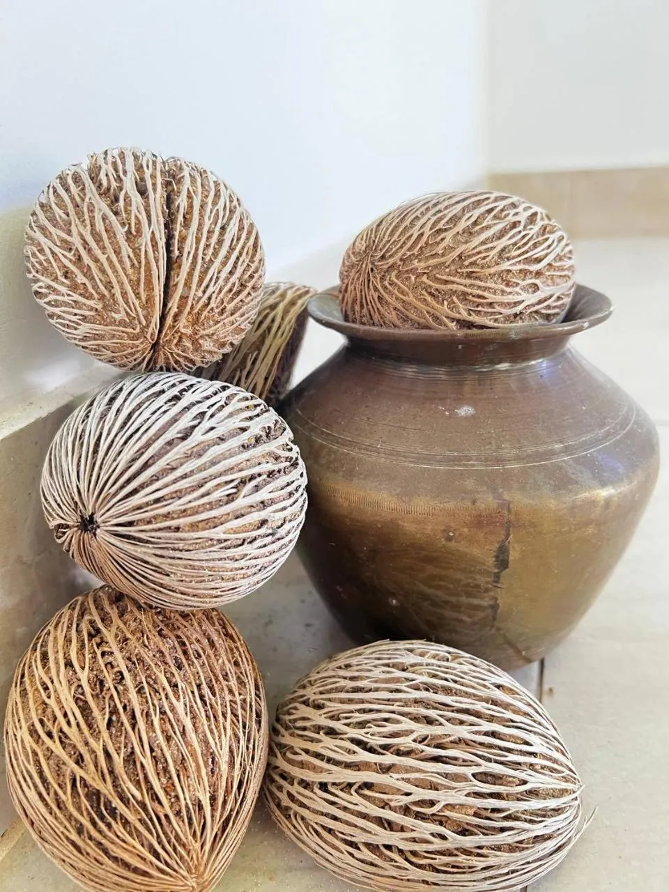 Property building in Urban Galle Villa