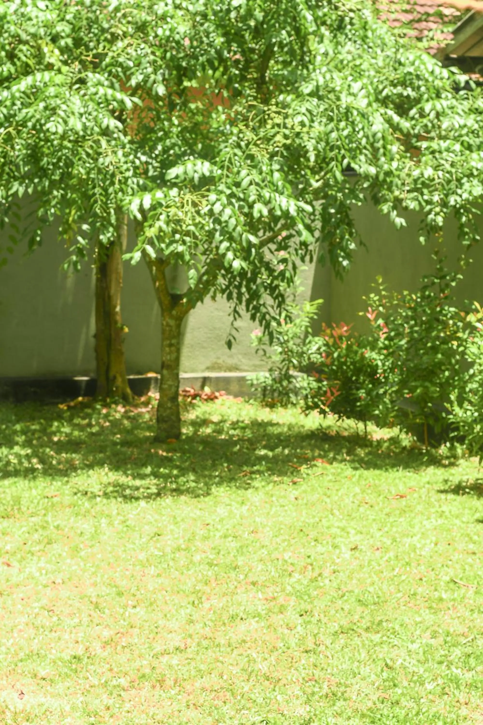 Day in Urban Galle Villa