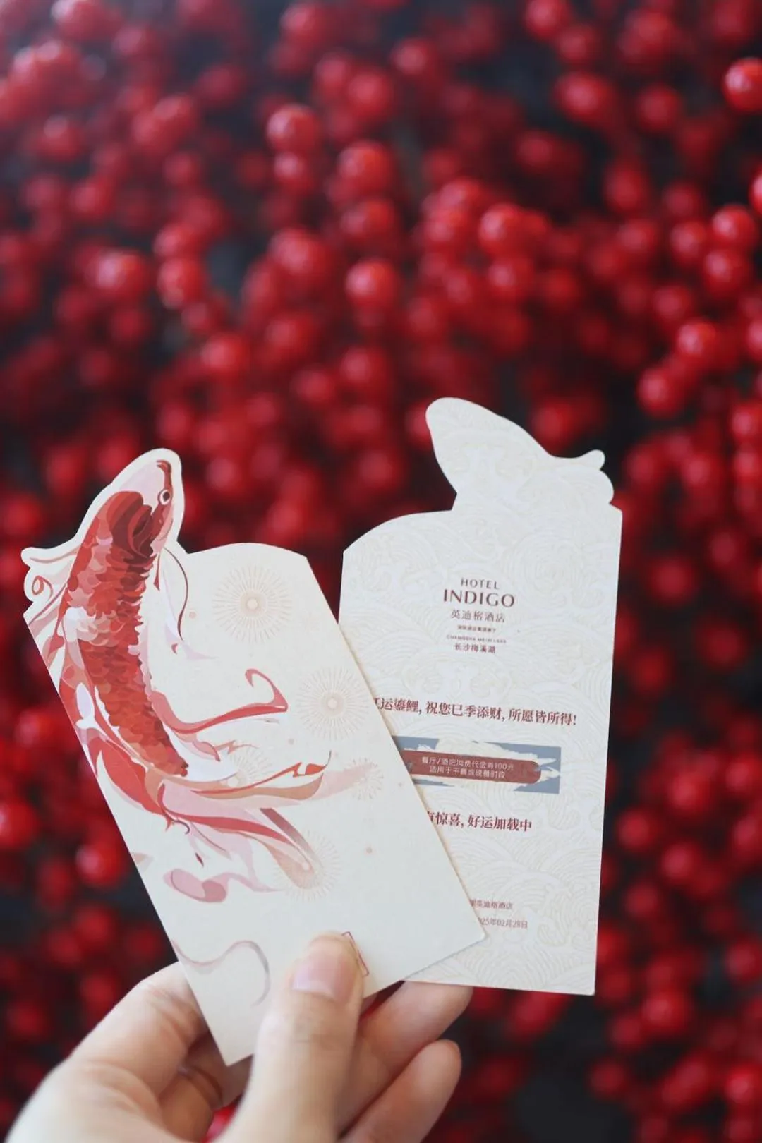 Hotel Indigo Changsha Meixi Lake