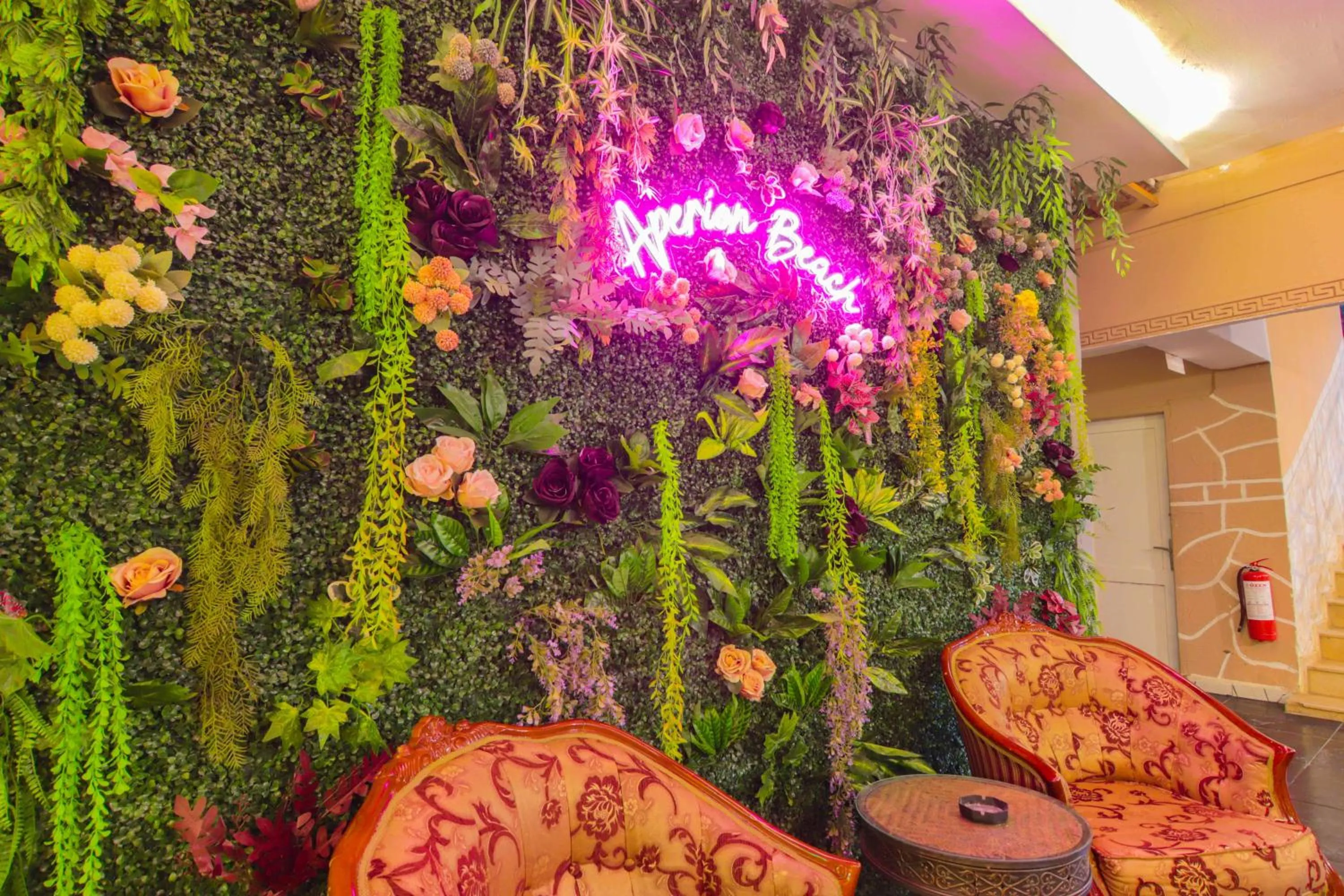 Garden in Aperion Beach Hotel Side