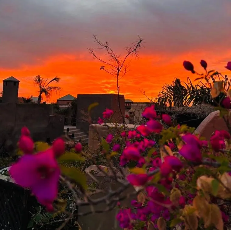 Patio in Palais Aix Kabaj &Spa