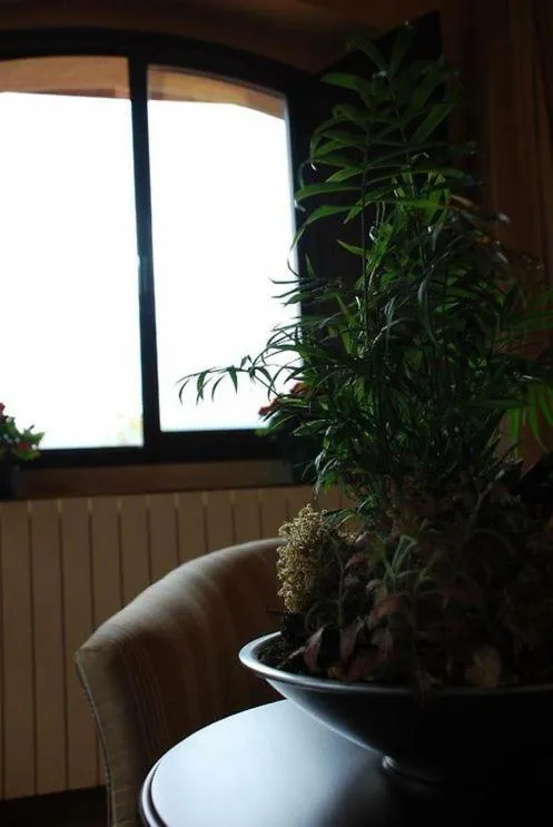 Photo of the whole room in OLATZEA LANDA HOTELA