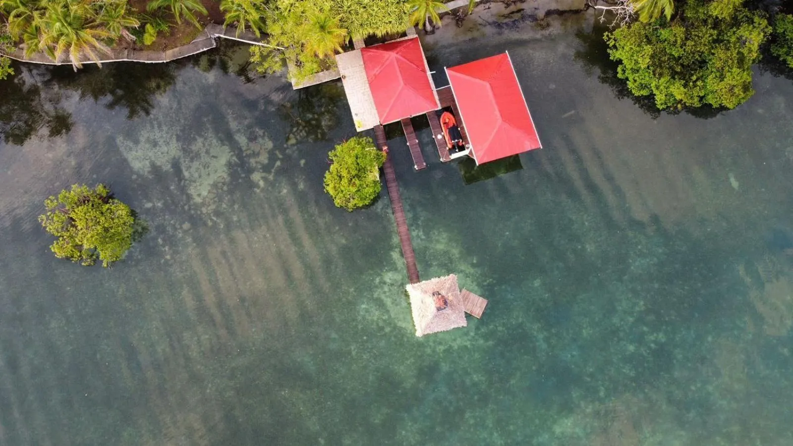 View (from property/room) in Akwaba Lodge