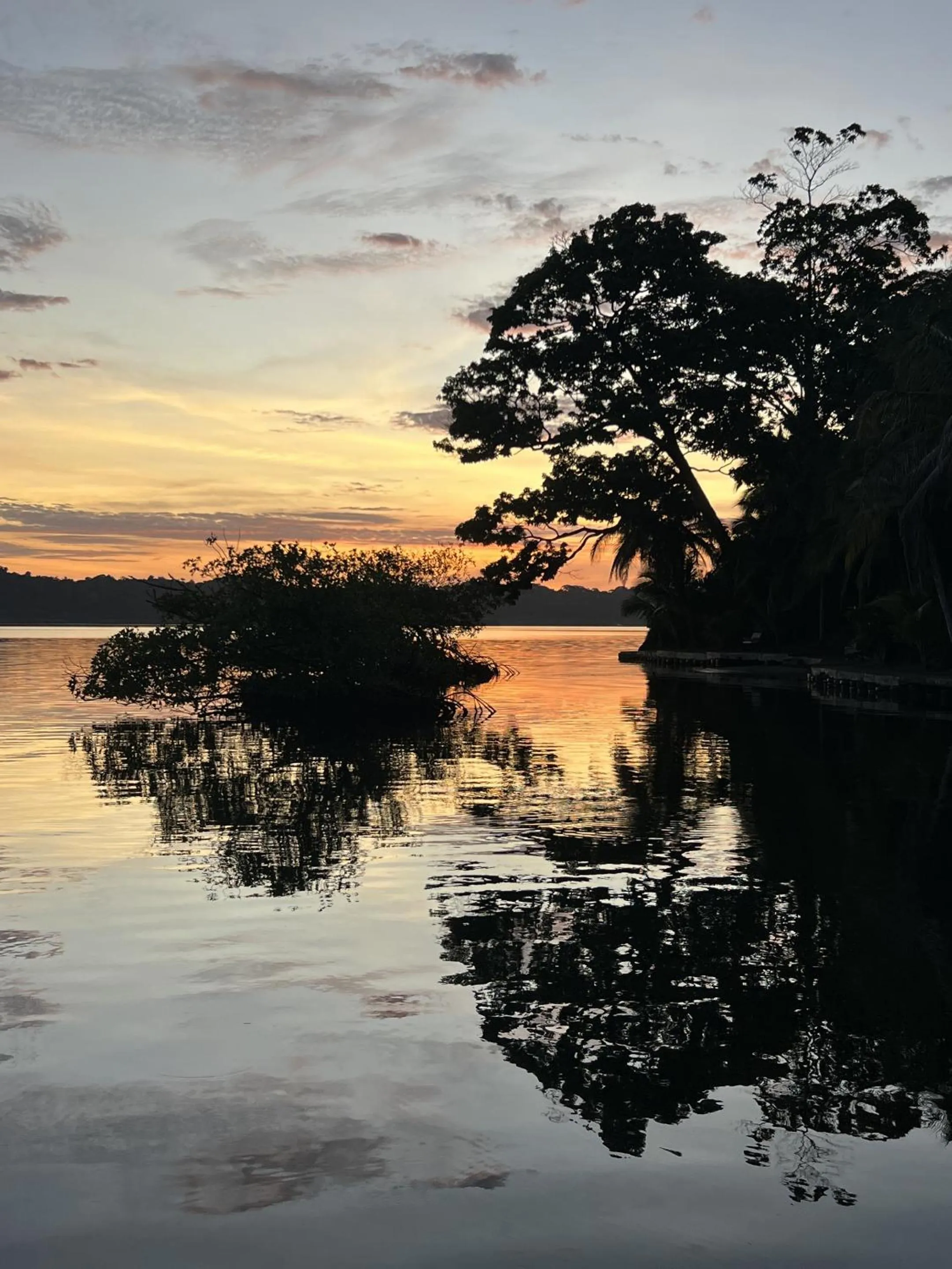 View (from property/room) in Akwaba Lodge
