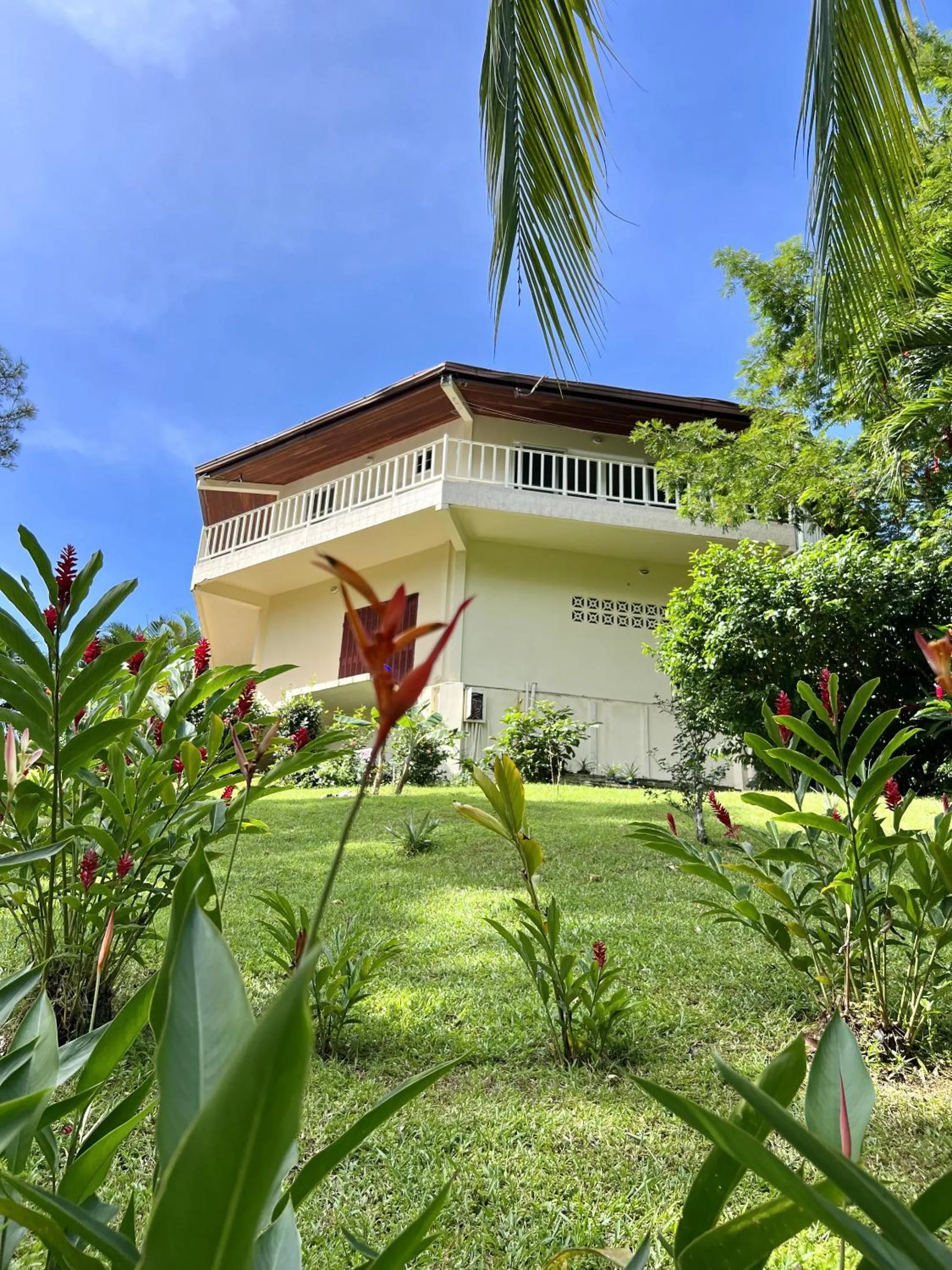 View (from property/room) in Akwaba Lodge
