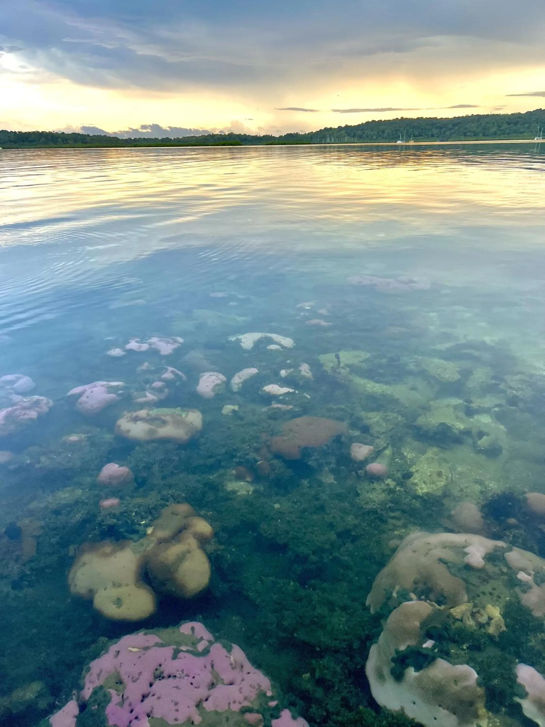 Beach in Akwaba Lodge