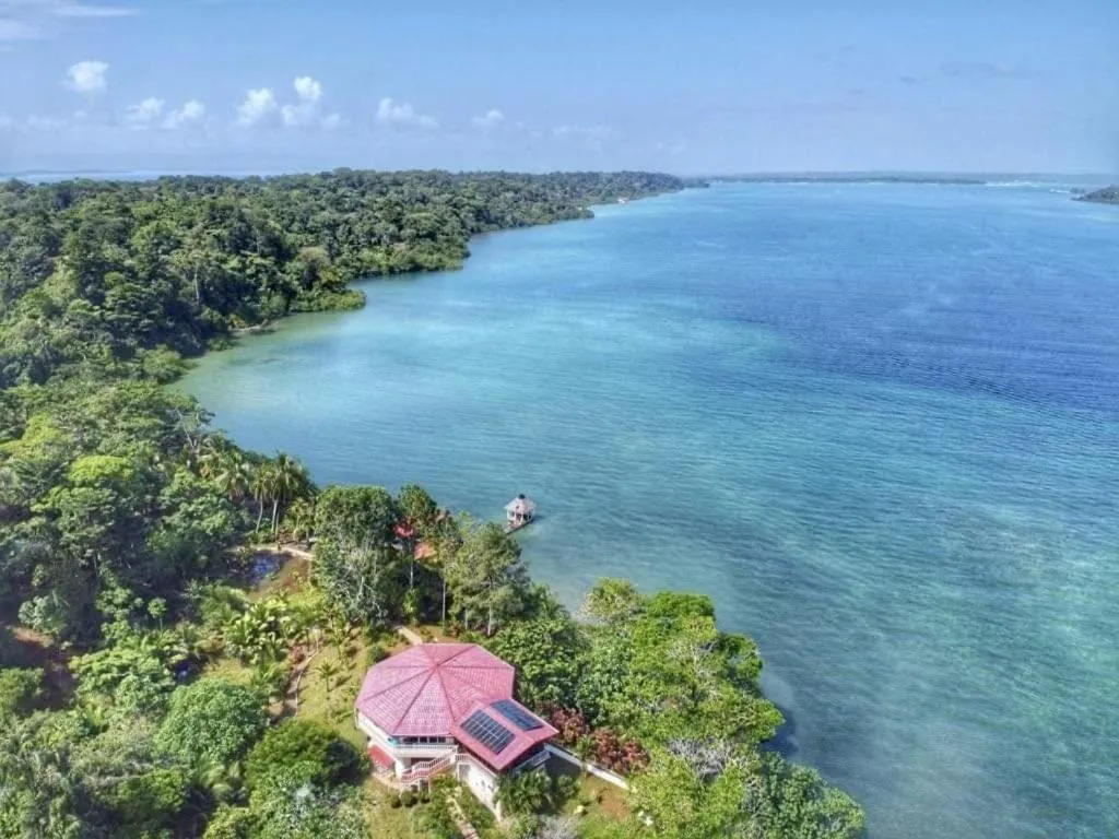 View (from property/room) in Akwaba Lodge