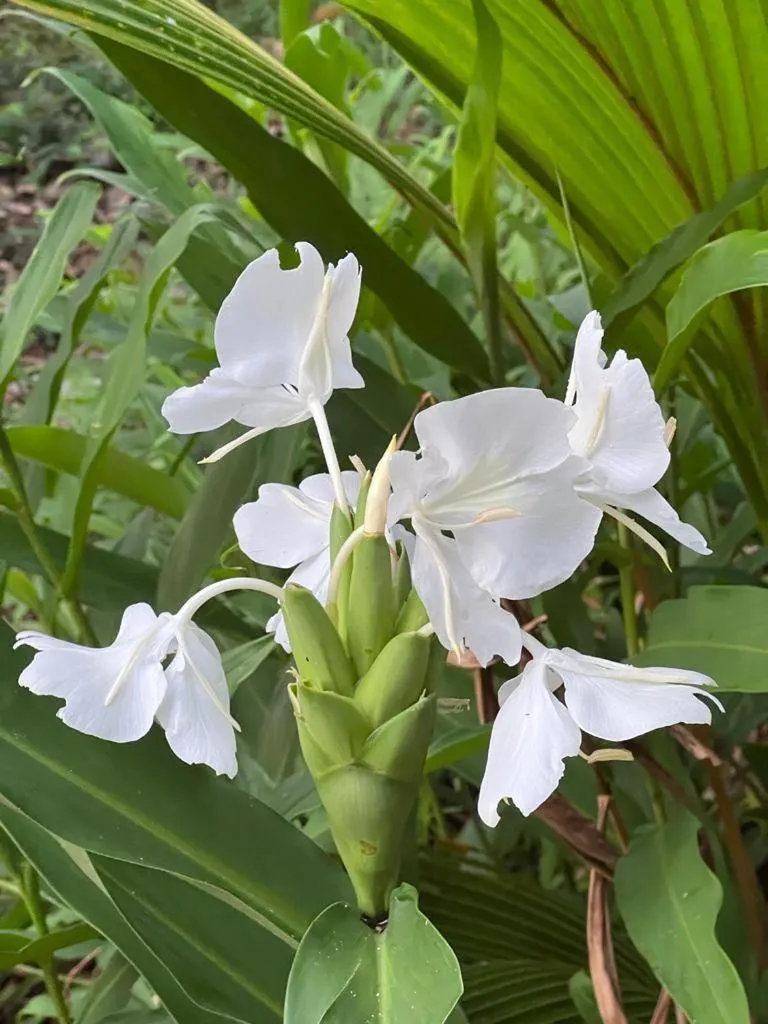 Natural landscape in Akwaba Lodge