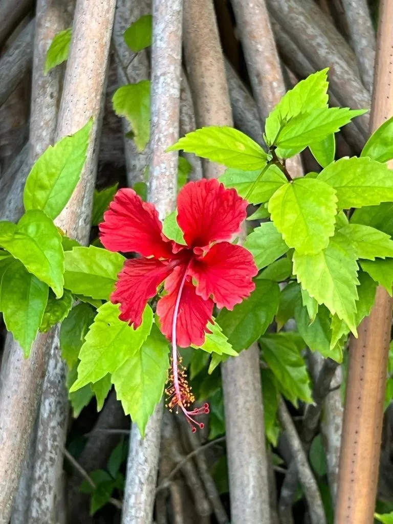 Property building in Akwaba Lodge