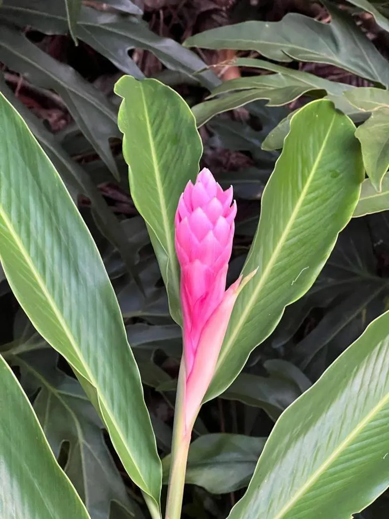 Natural landscape in Akwaba Lodge