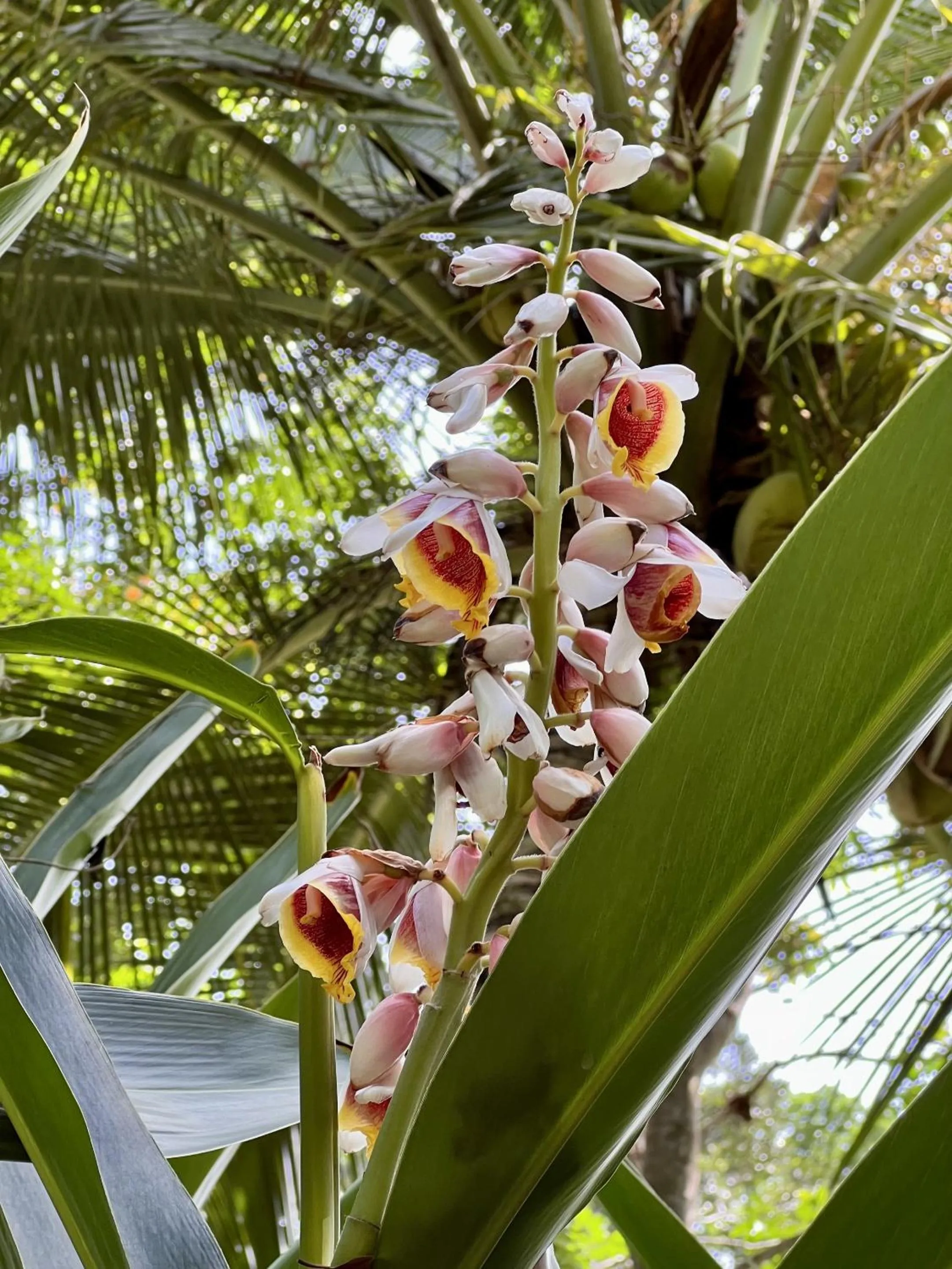 Property building in Akwaba Lodge