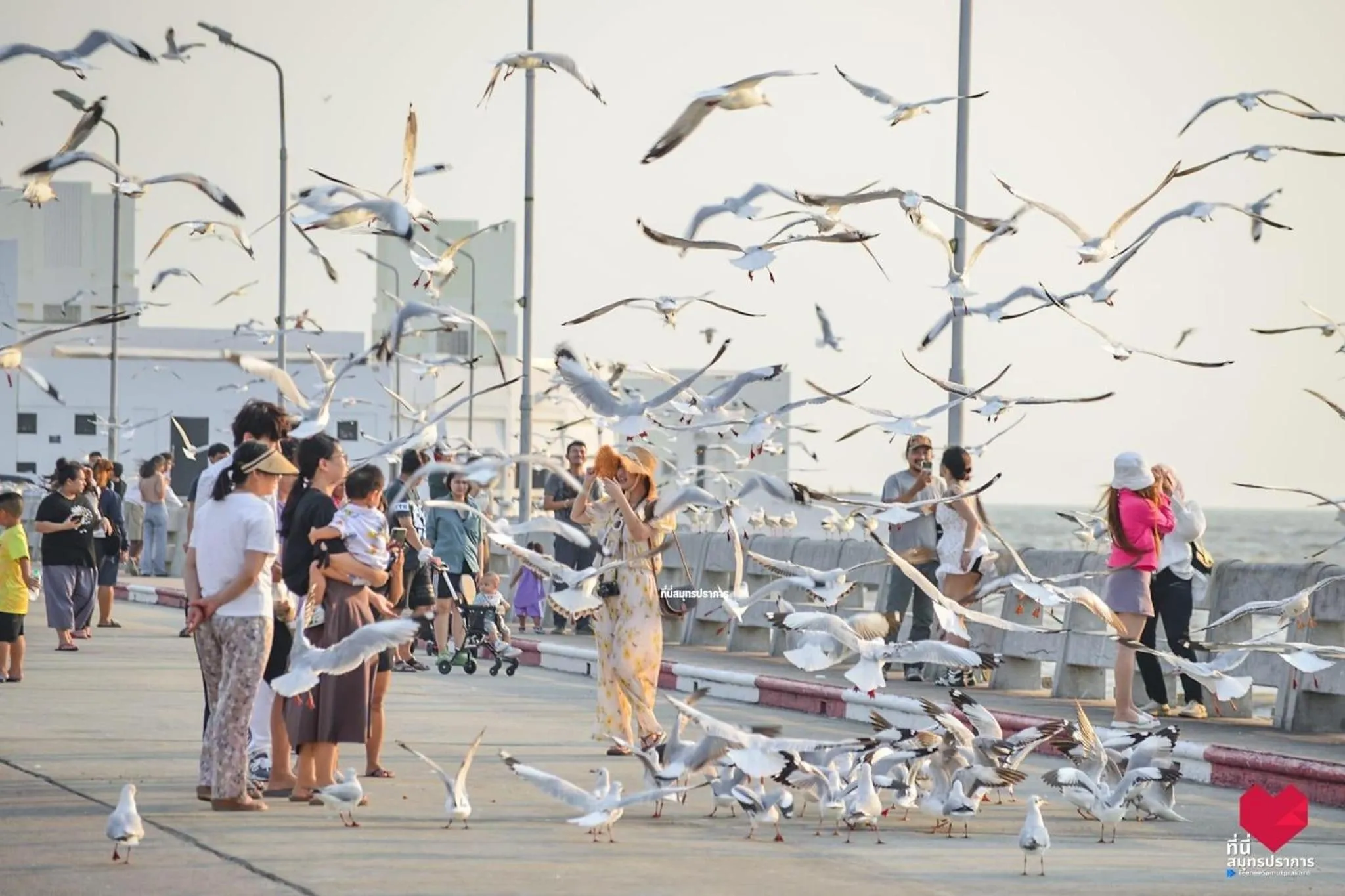 สถานตากอากาศบางปู สมุทปราการ Bang Pu Recreation Center Samut Prakan