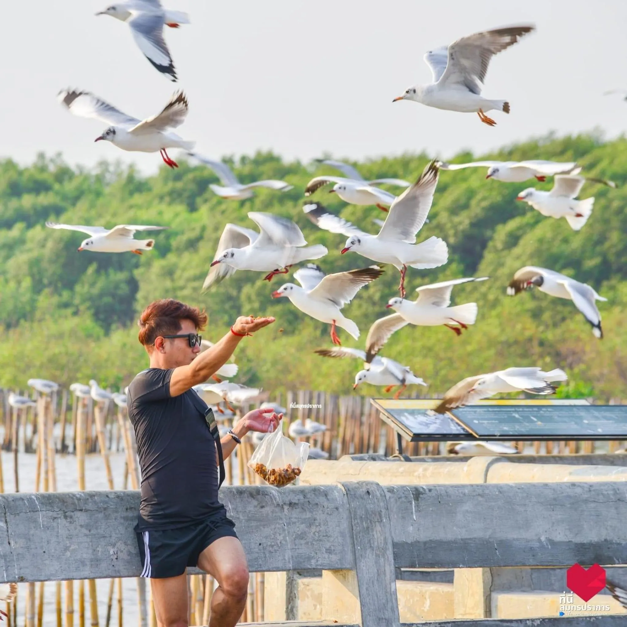 สถานตากอากาศบางปู สมุทปราการ Bang Pu Recreation Center Samut Prakan