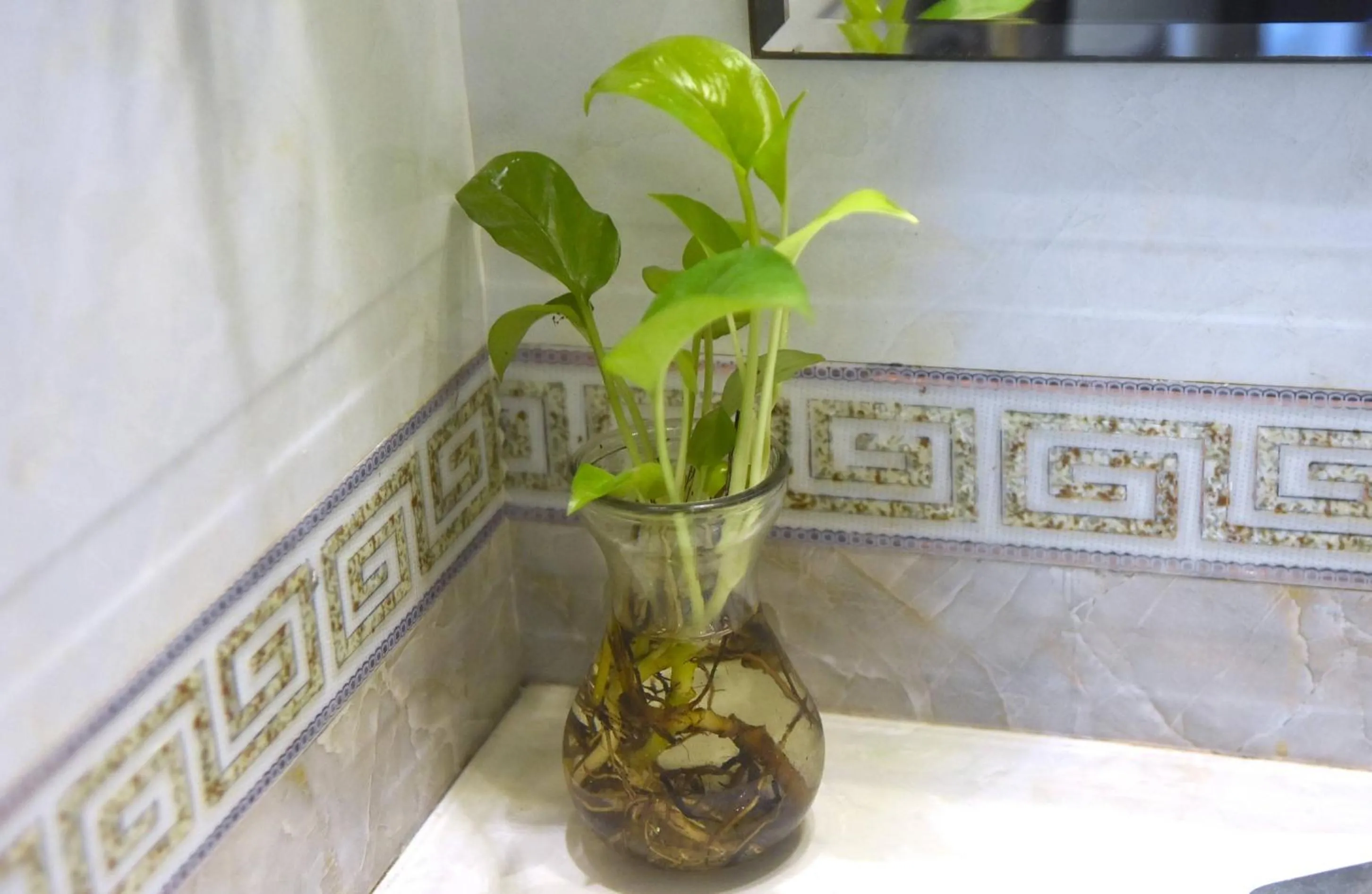 Decorative detail in Sao Hotel Nguyen Ngoc Vu