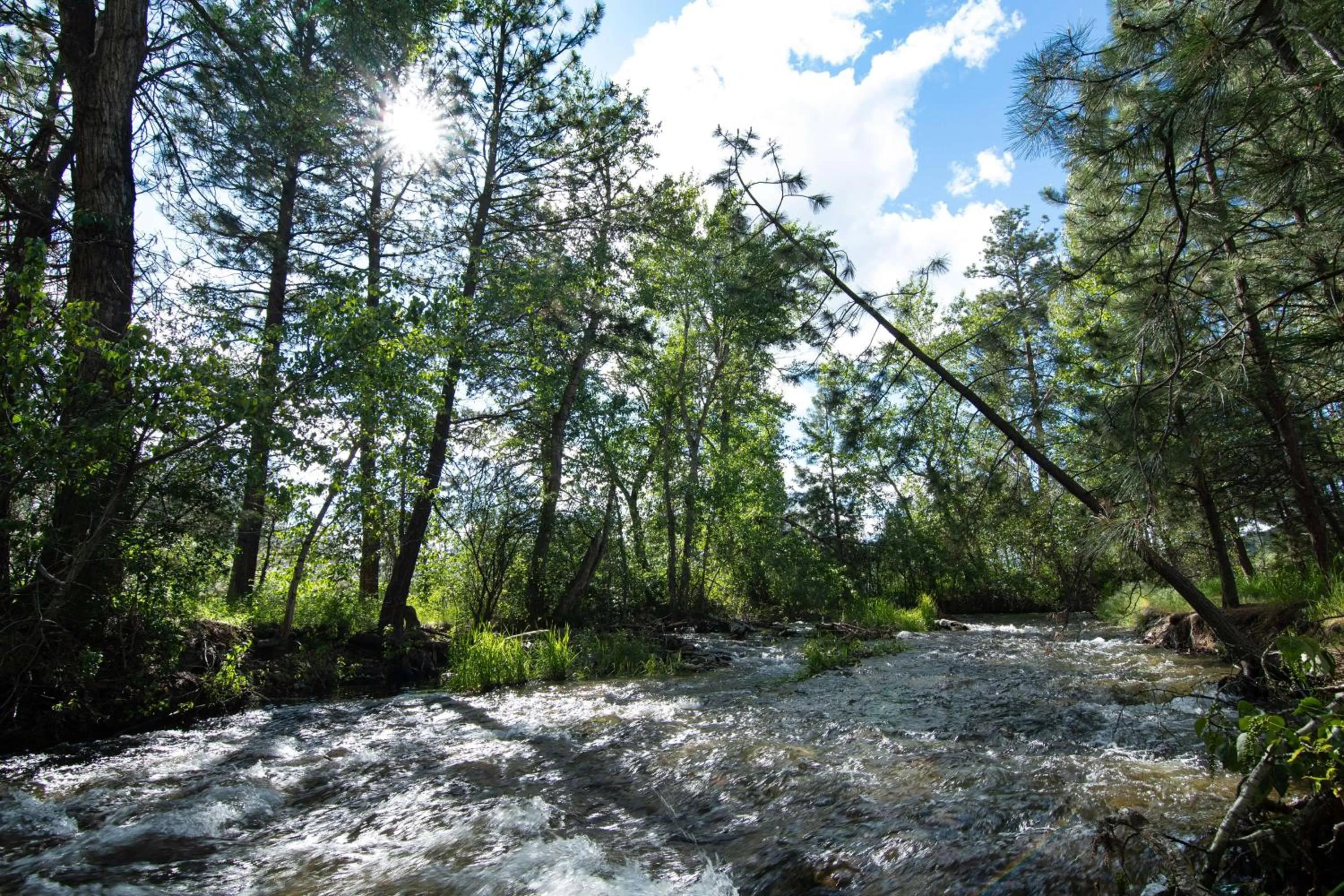 Property building in Homewood Suites By Hilton Missoula