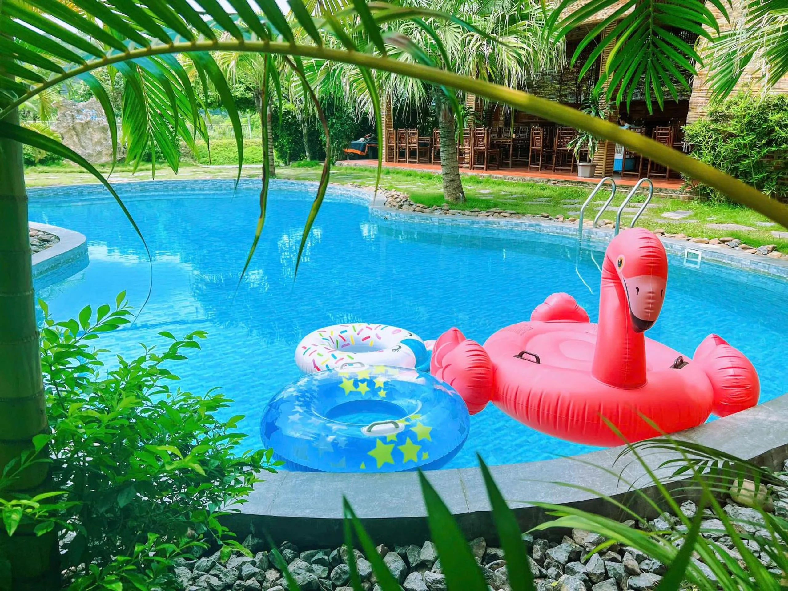 Pool view in Lagom Ninh Bình Homestay
