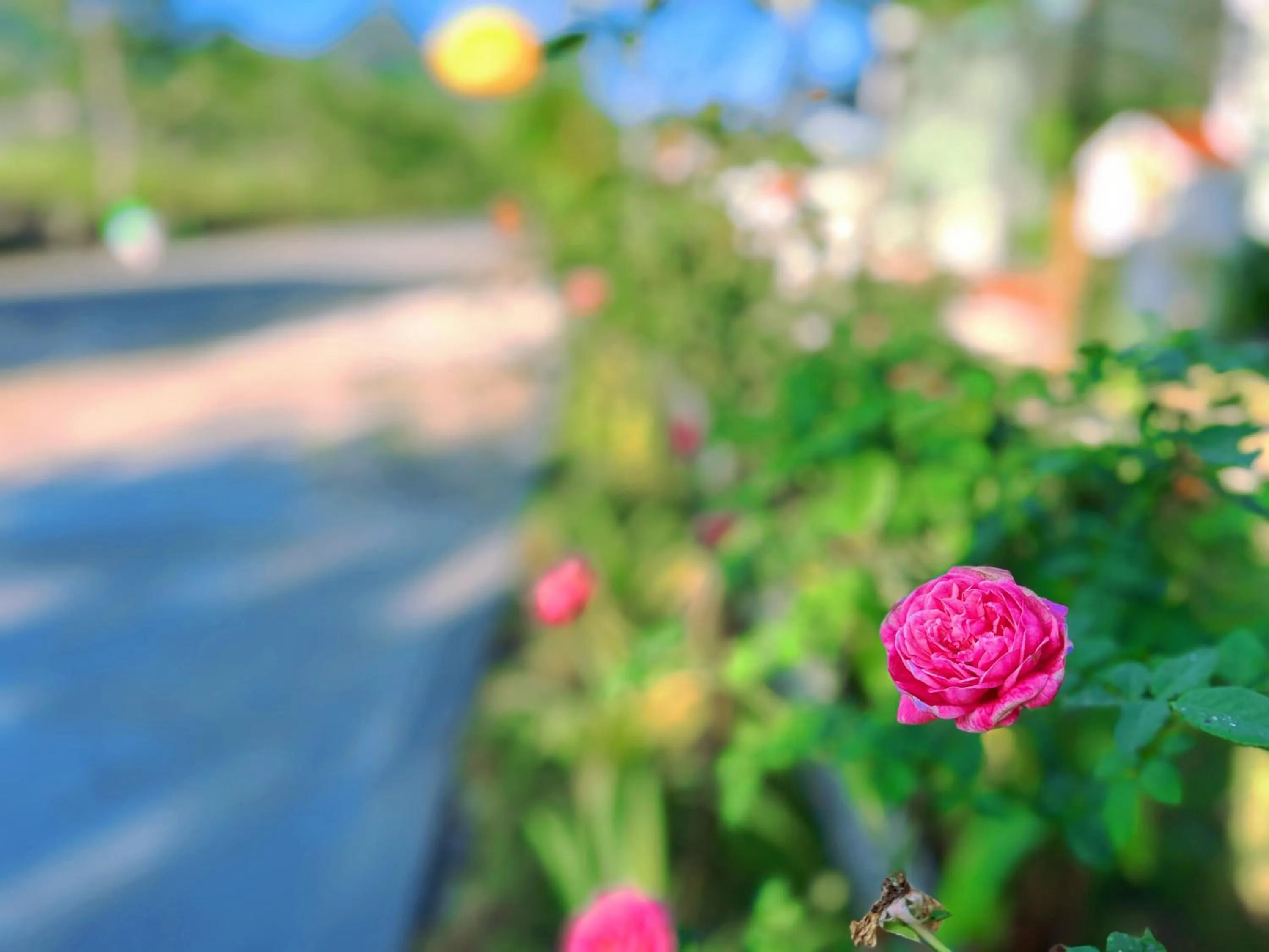 Natural landscape in Lagom Ninh Bình Homestay