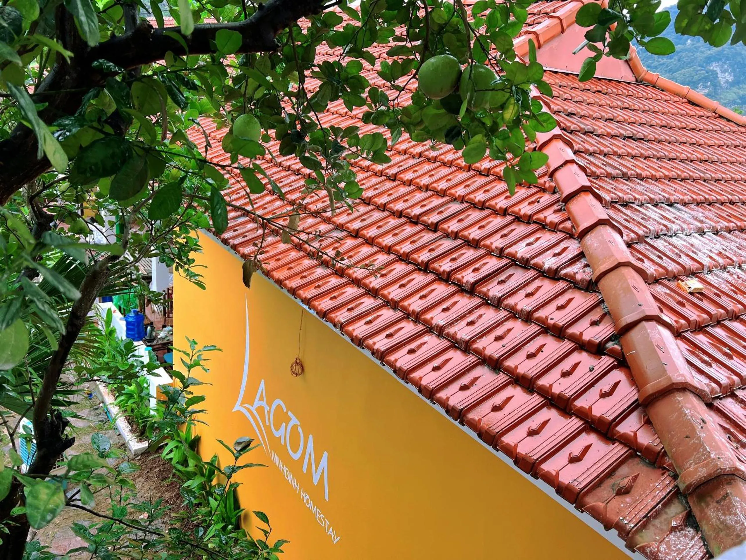 Off site in Lagom Ninh Bình Homestay