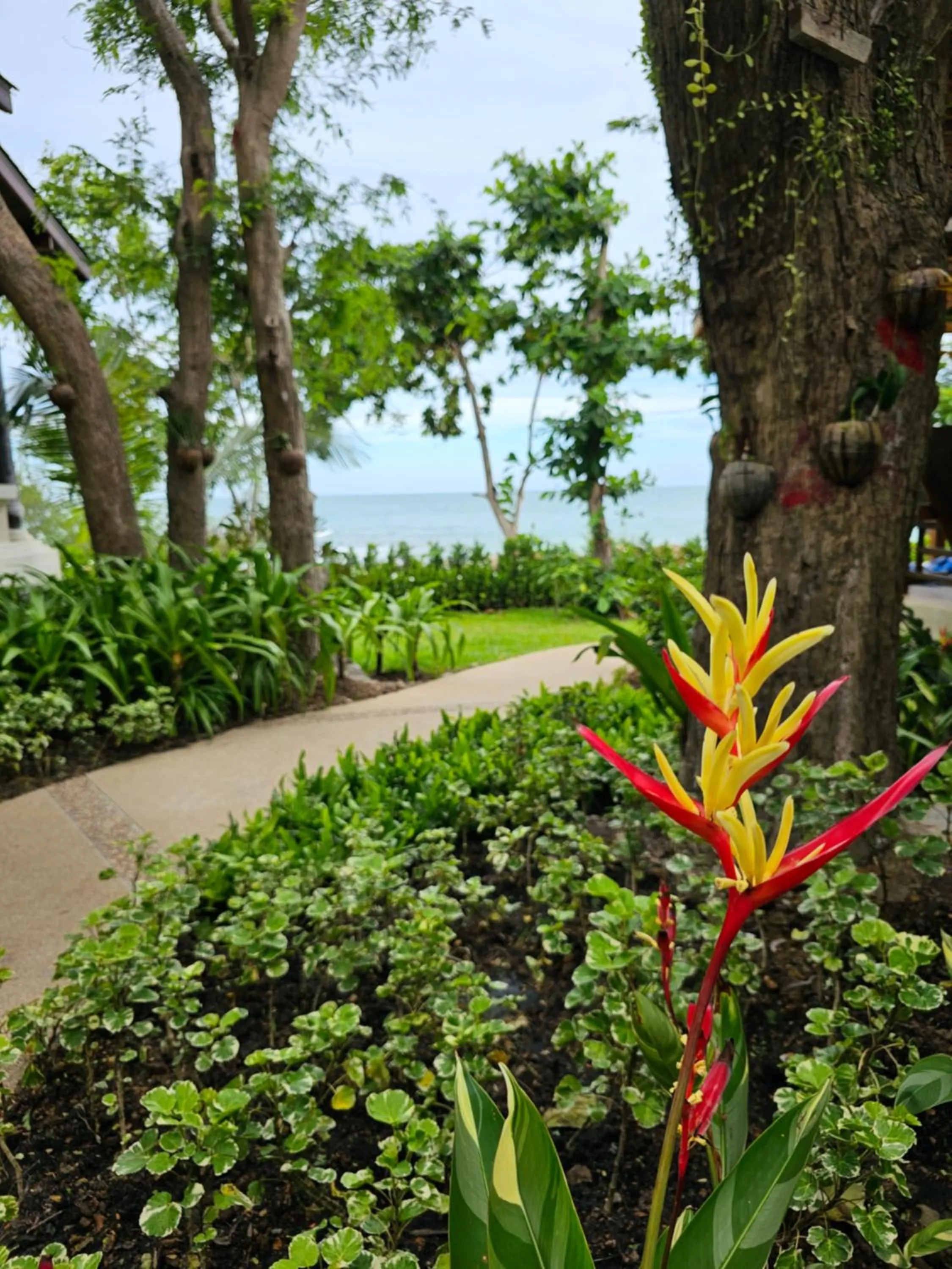 Natural landscape in Samed Tamarind Beach Resort