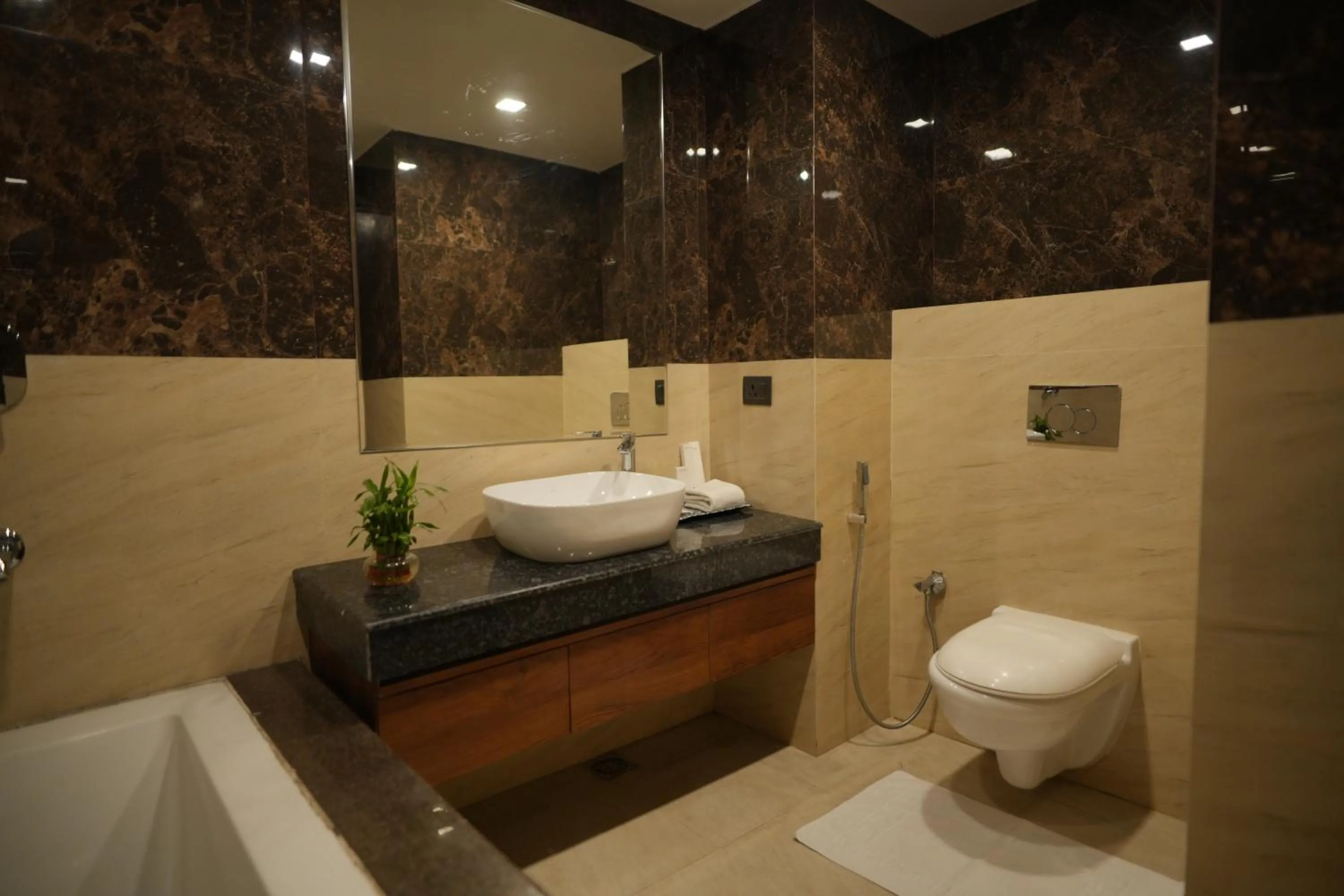 Bath in Comfort Inn Karnal