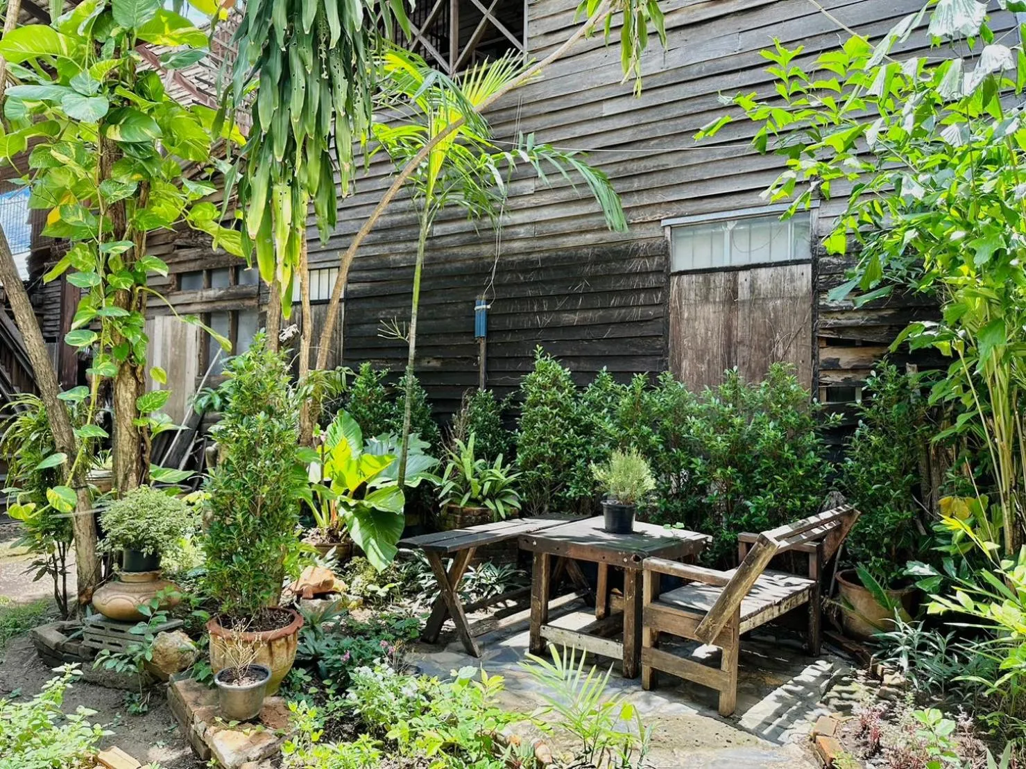 Garden view in Cozy Nest CNX