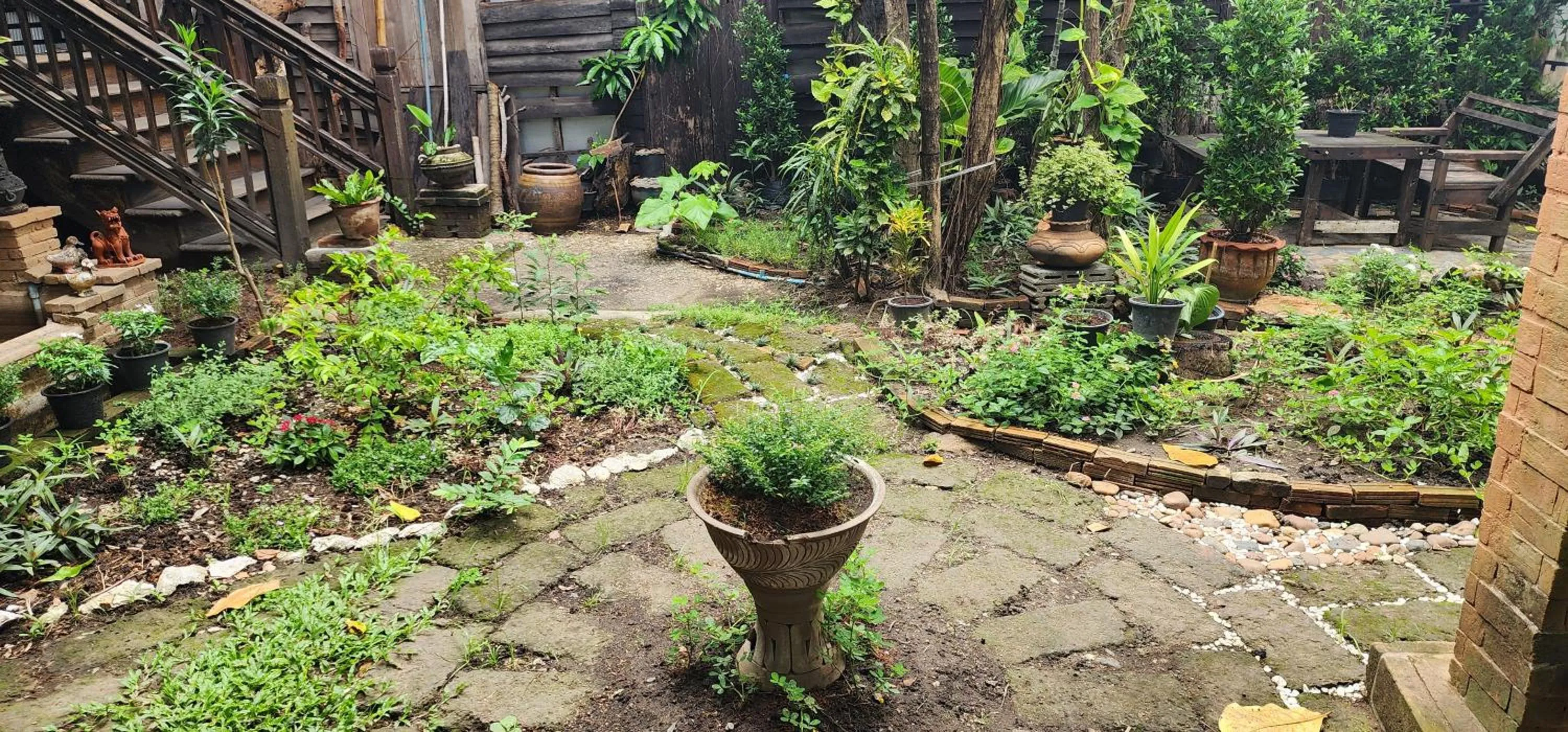 Garden in Cozy Nest CNX