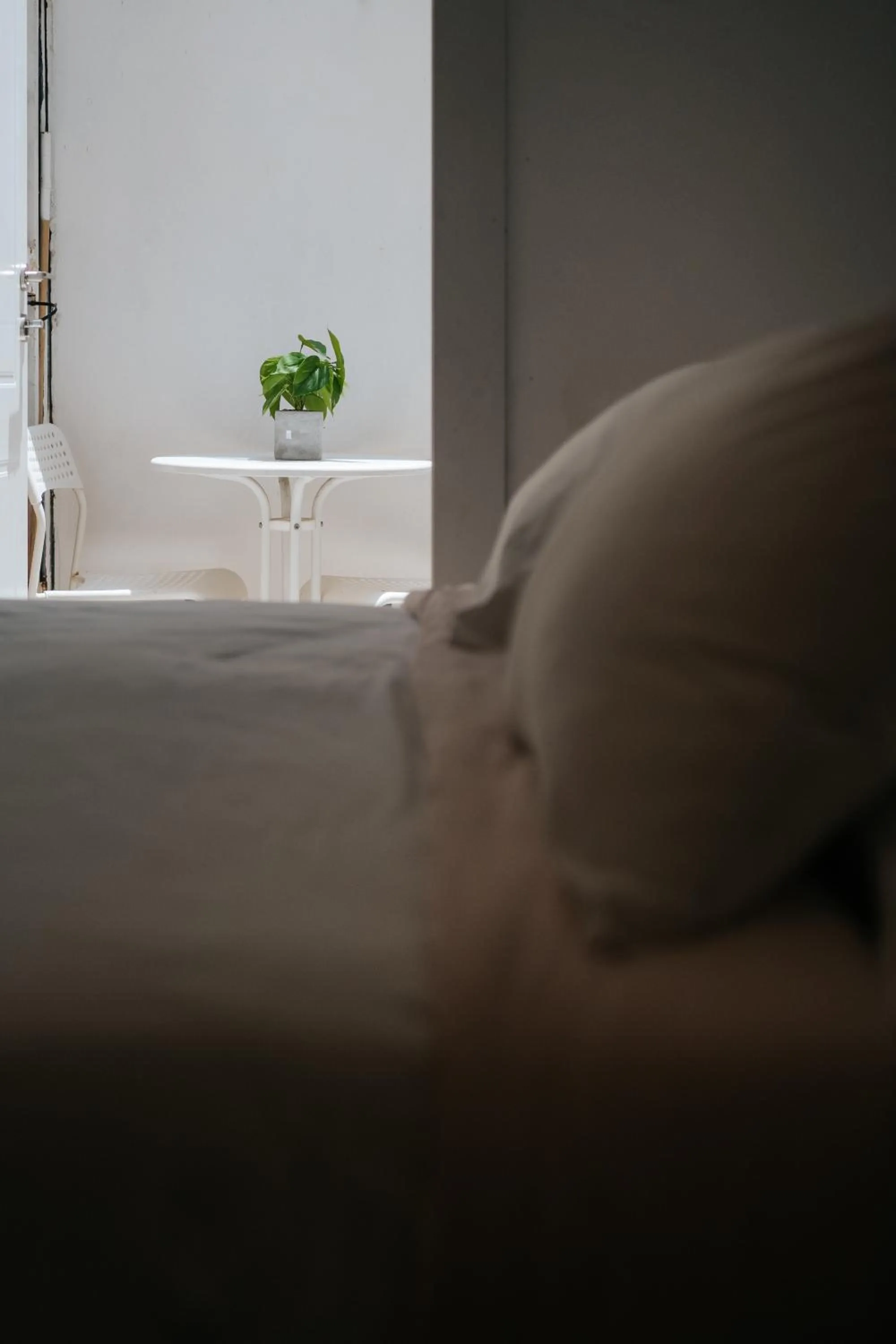 Bed in Central Beach Hotel