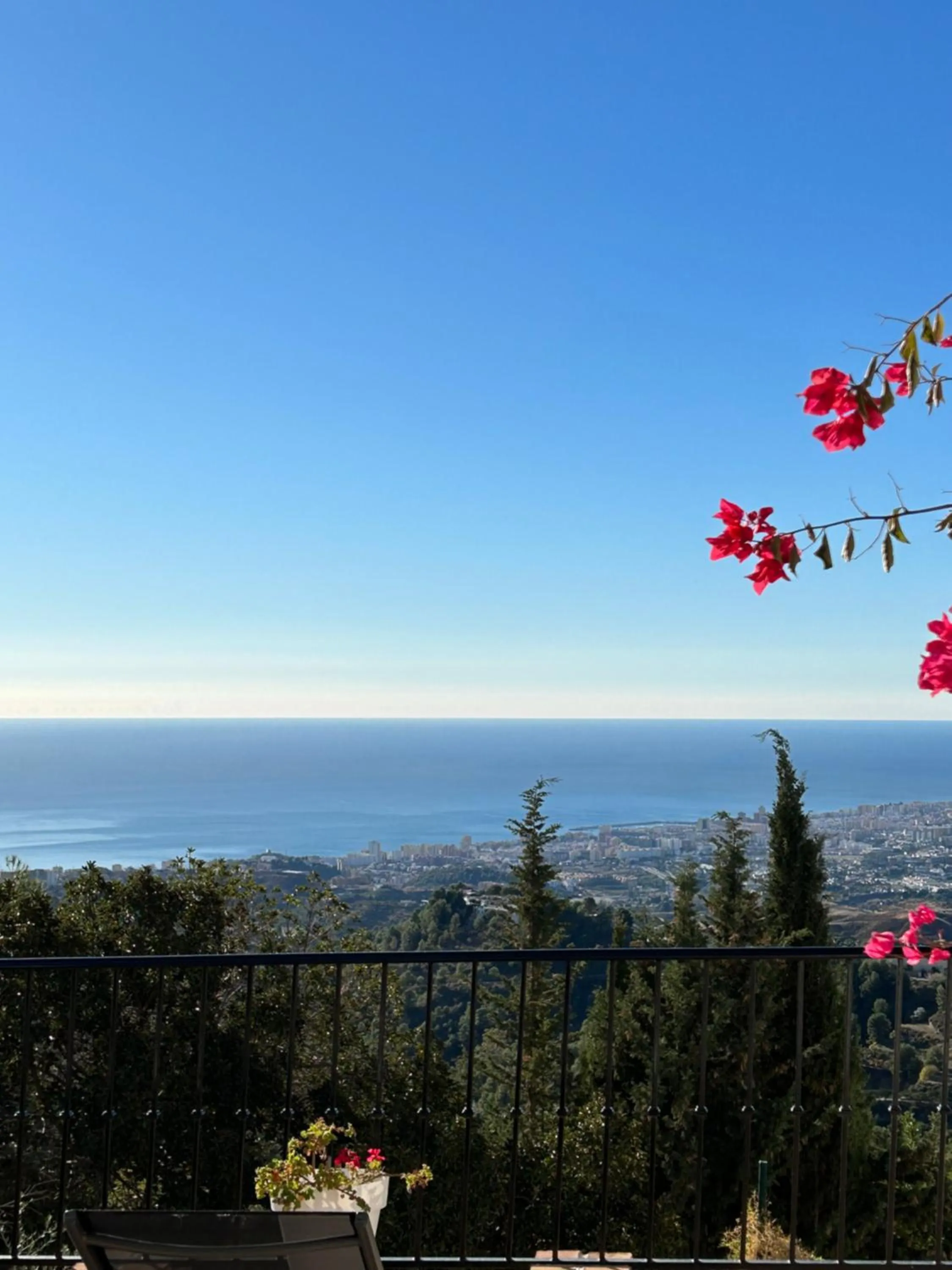 View (from property/room) in Hearts & Home