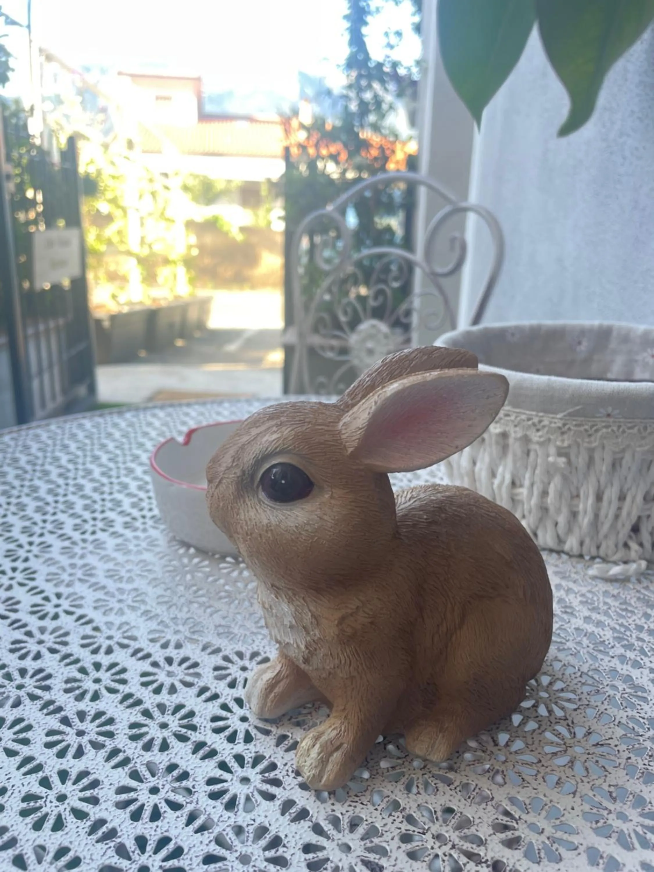 Day, Other Animals in Casa Vacanze MURANUM