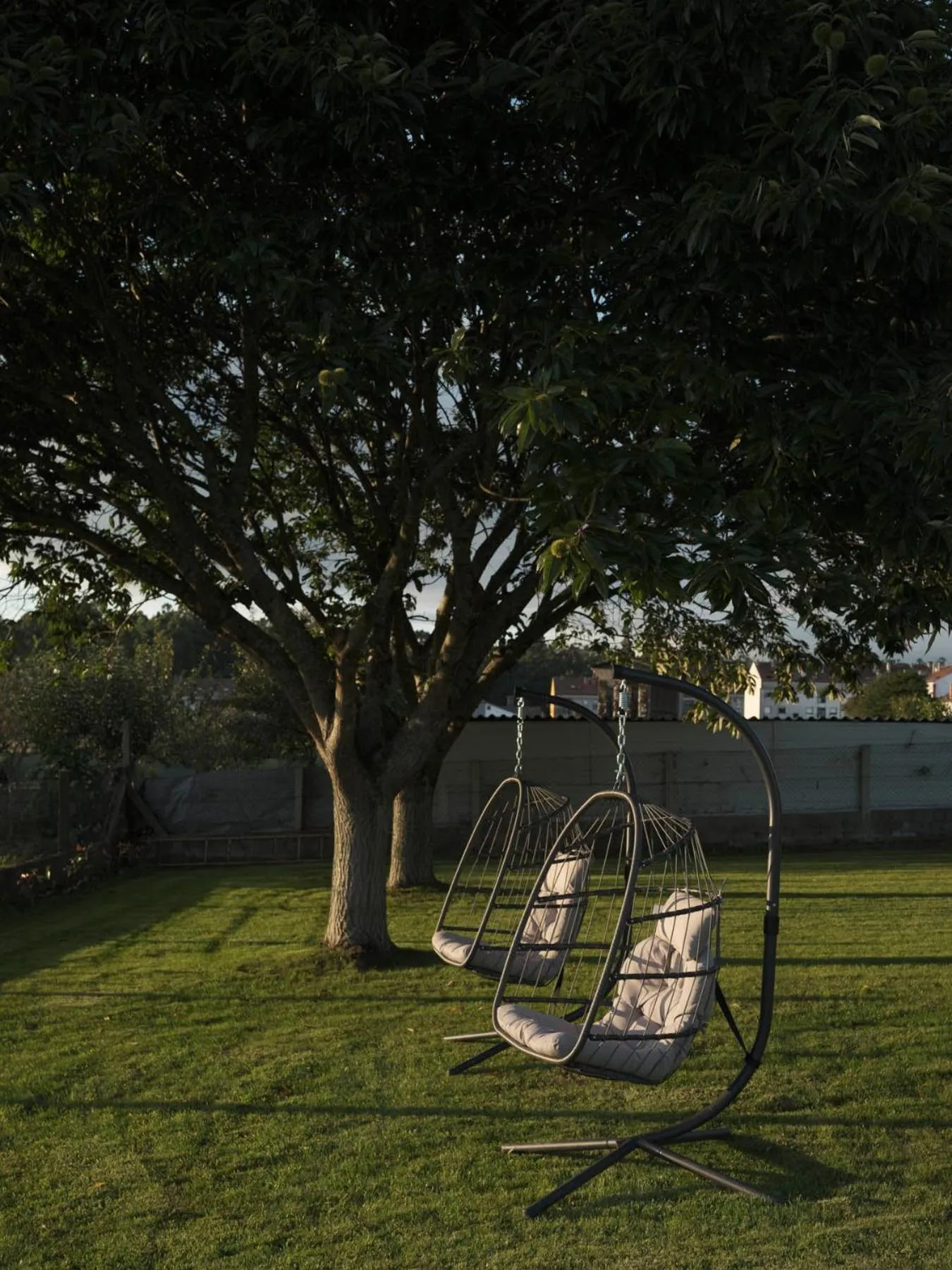 Natural landscape in Hotel Amiuka