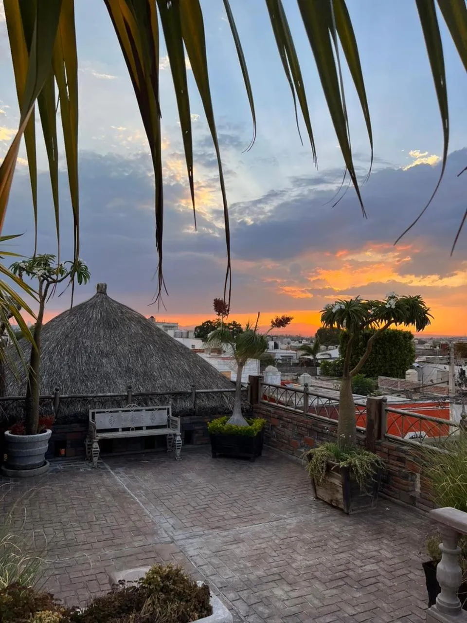 Balcony/Terrace in Hotel Casa Carmona