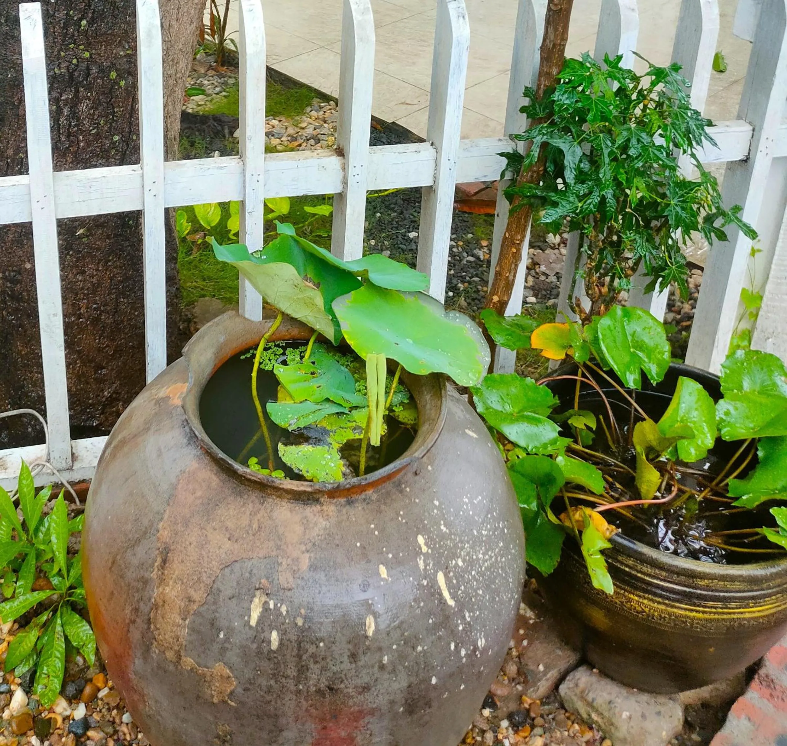 Property building in Lotus Corner - Heritage B&B
