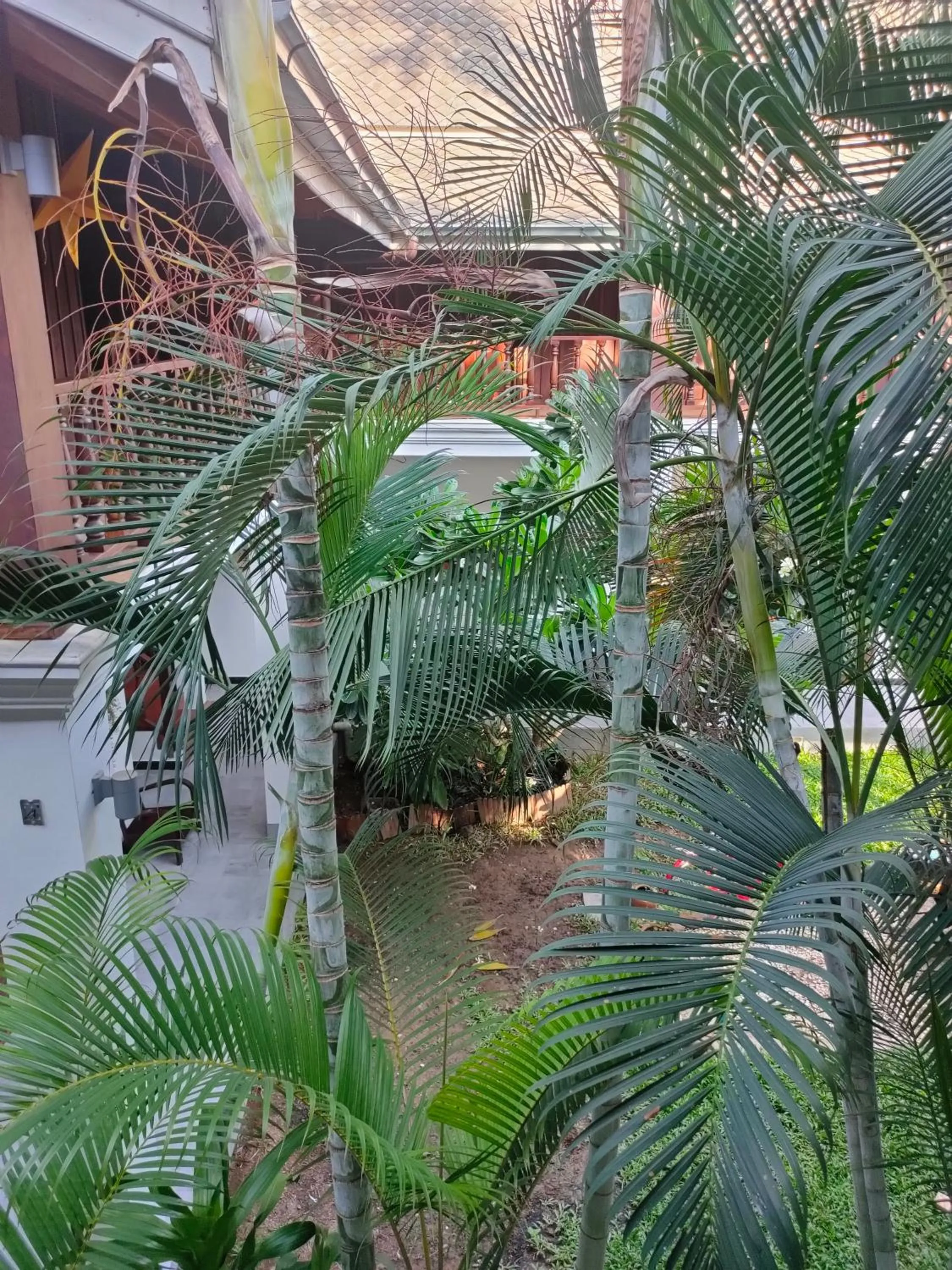 View (from property/room) in Lotus Corner - Heritage B&B