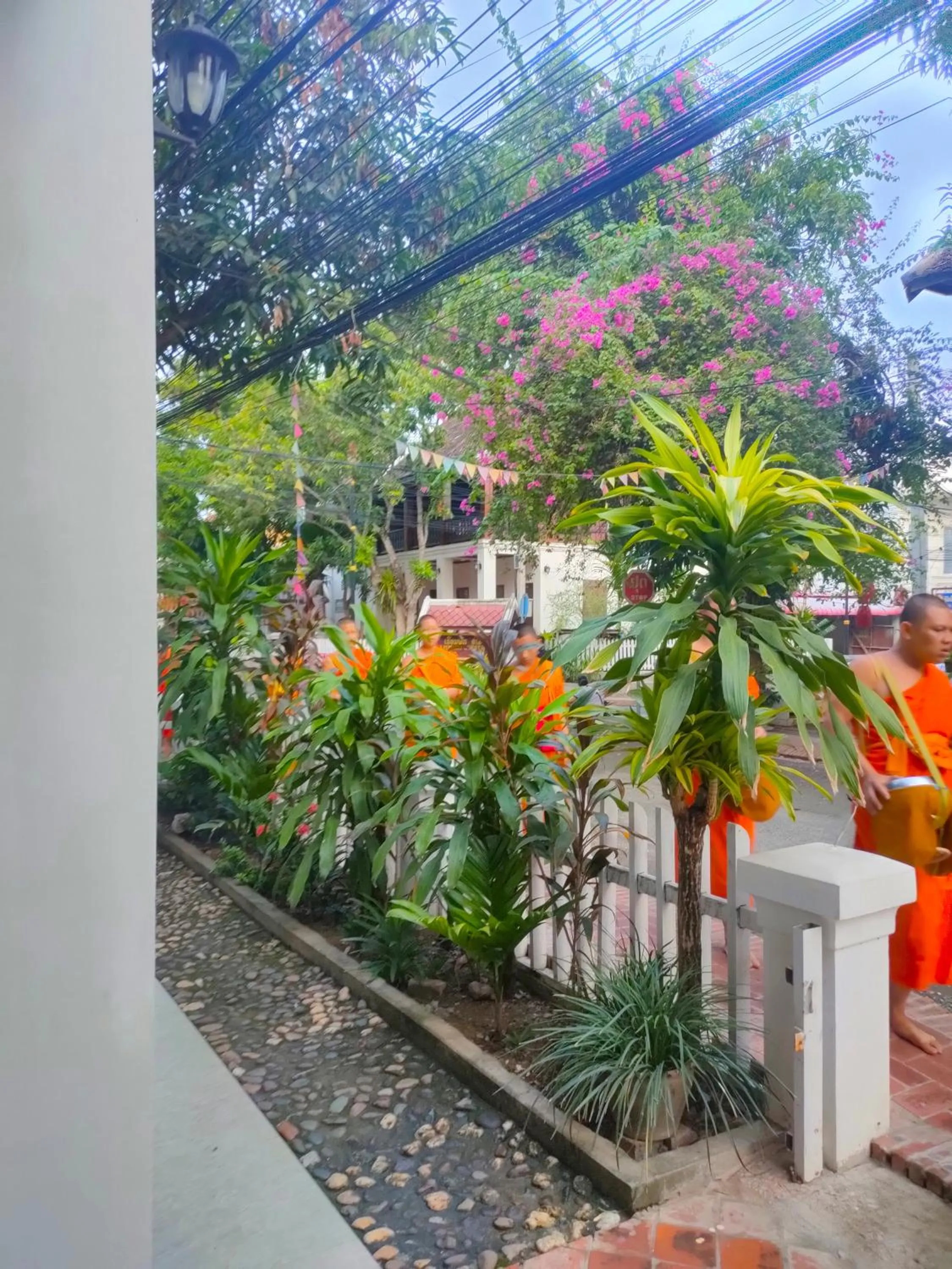 Day in Lotus Corner - Heritage B&B