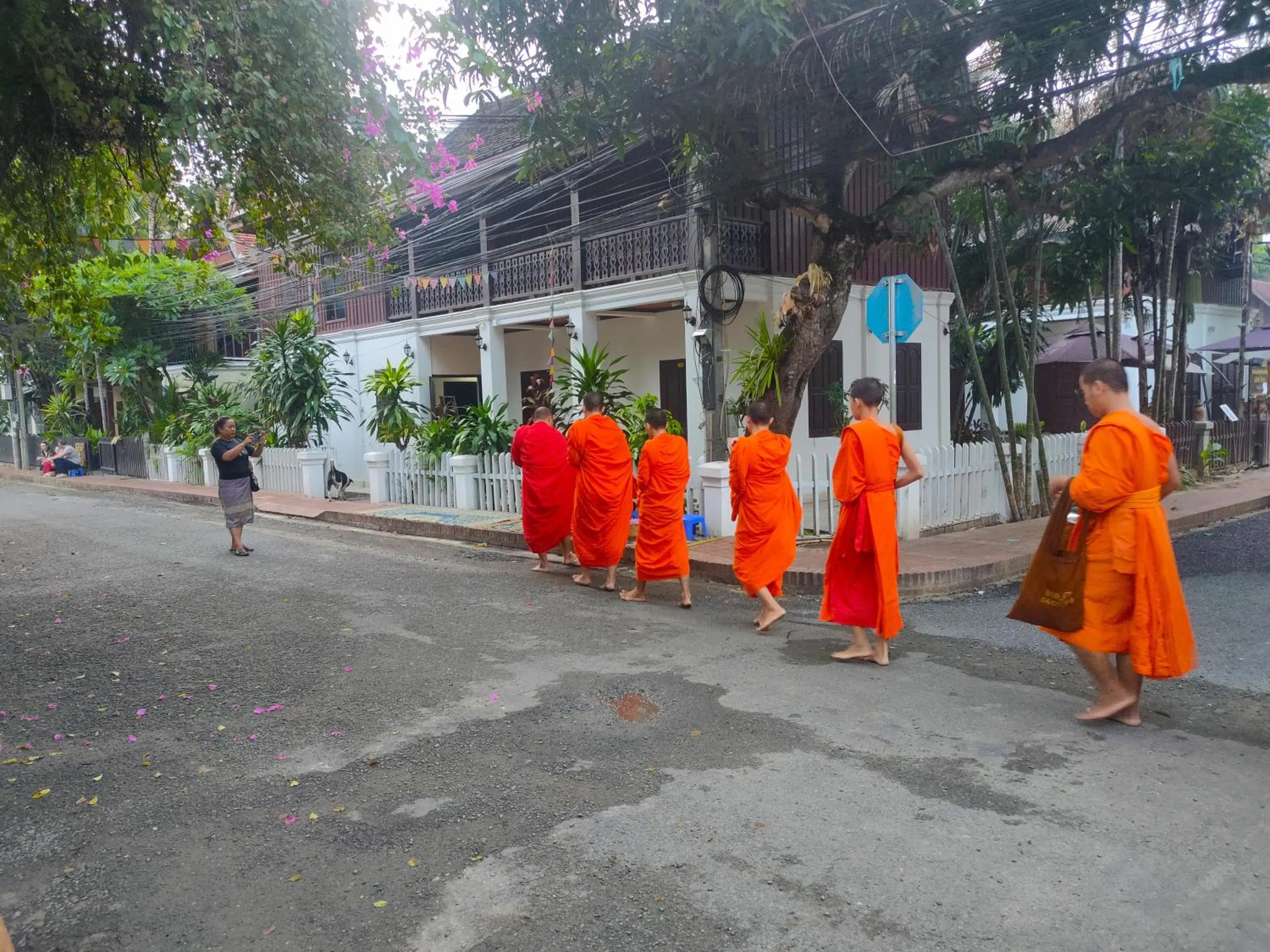 Property building in Lotus Corner - Heritage B&B