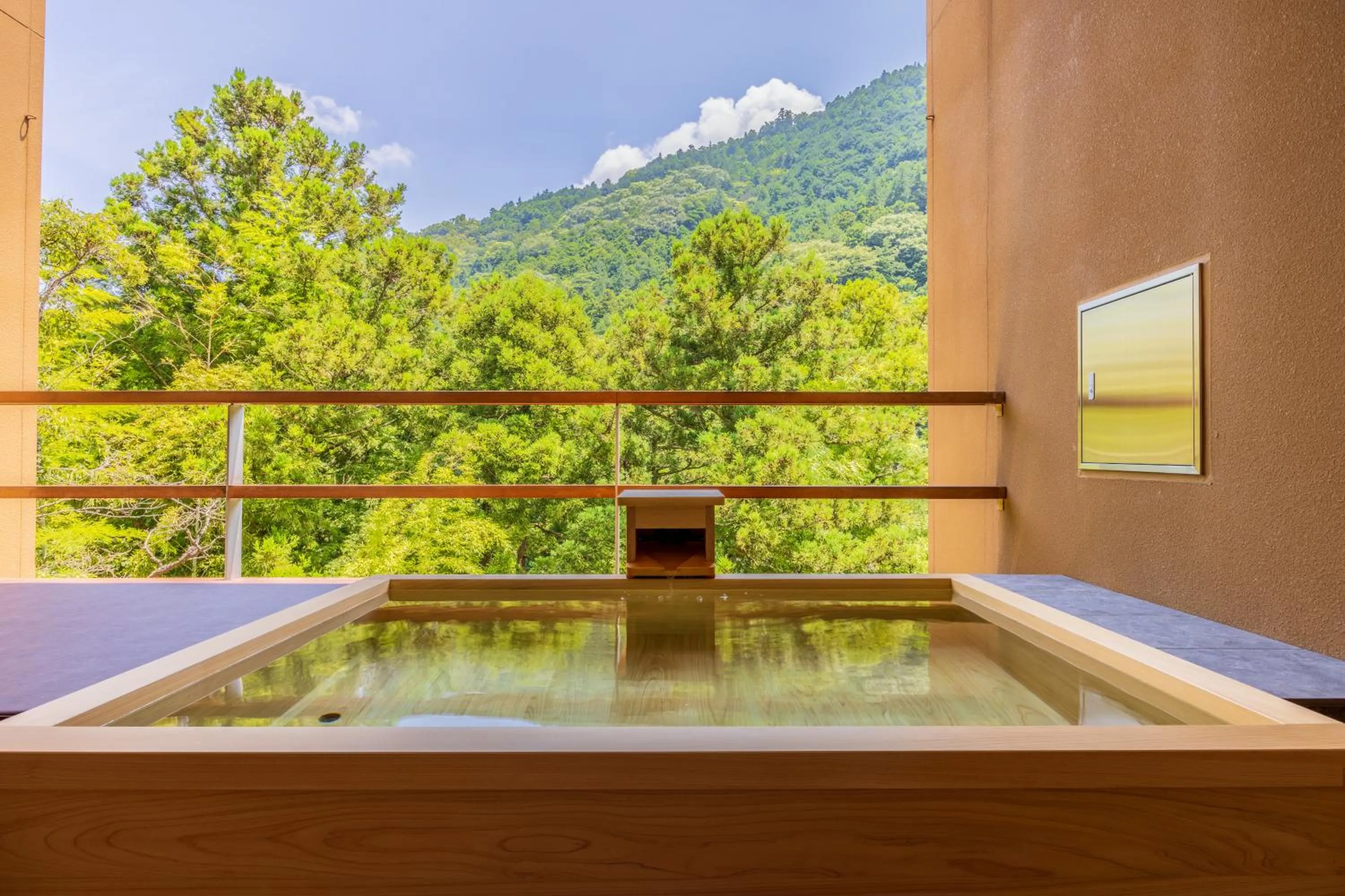 Day in Kinnotake Tonosawa (Adult Only)