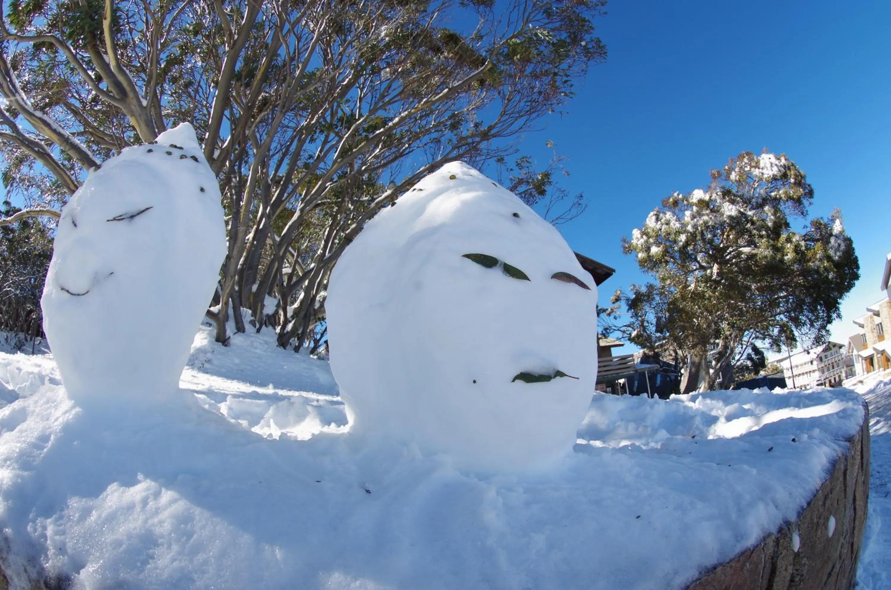 Area and facilities in Alpine Retreat Mt Buller