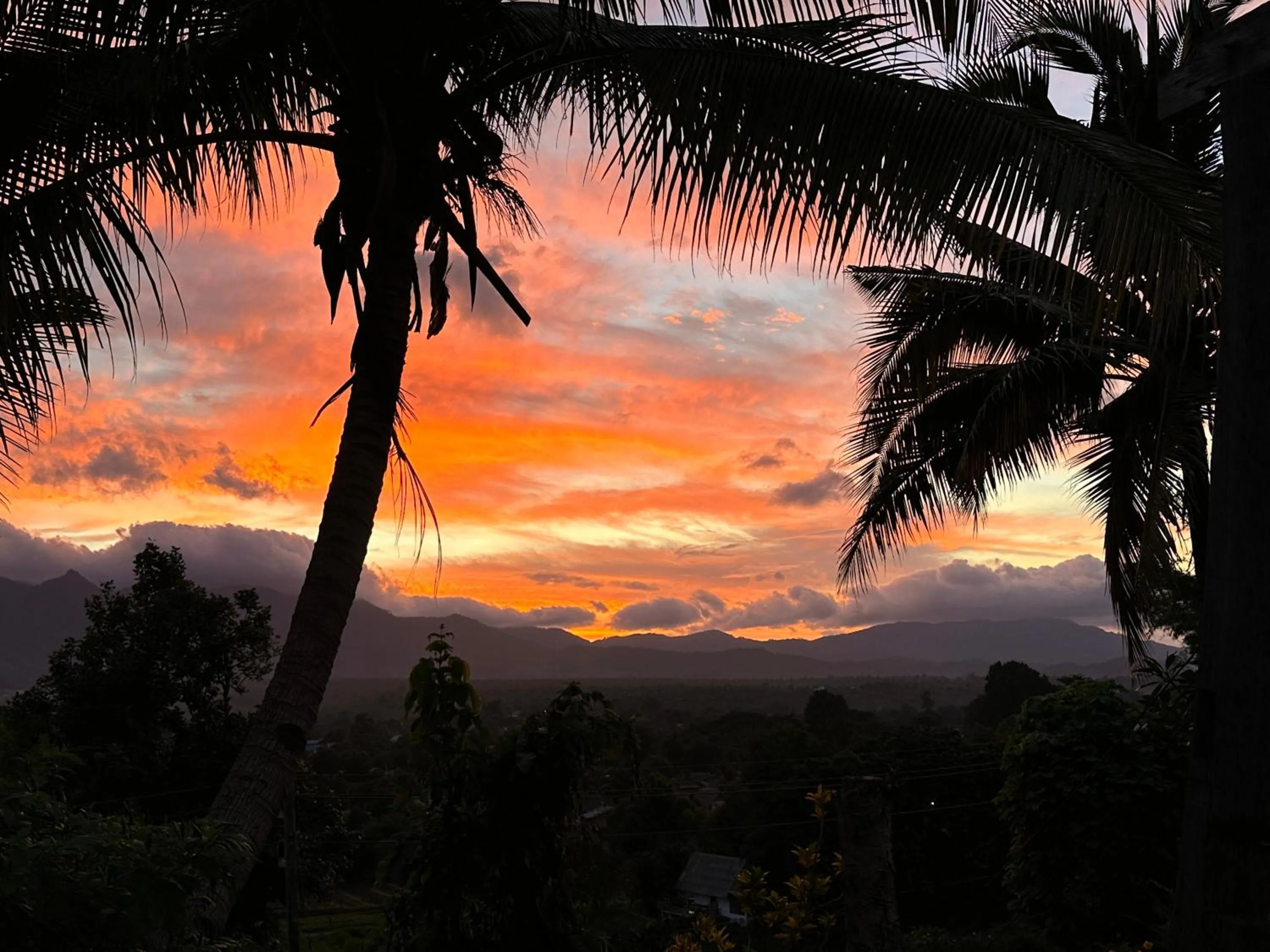 Restaurant/places to eat in Pairadise Hotel