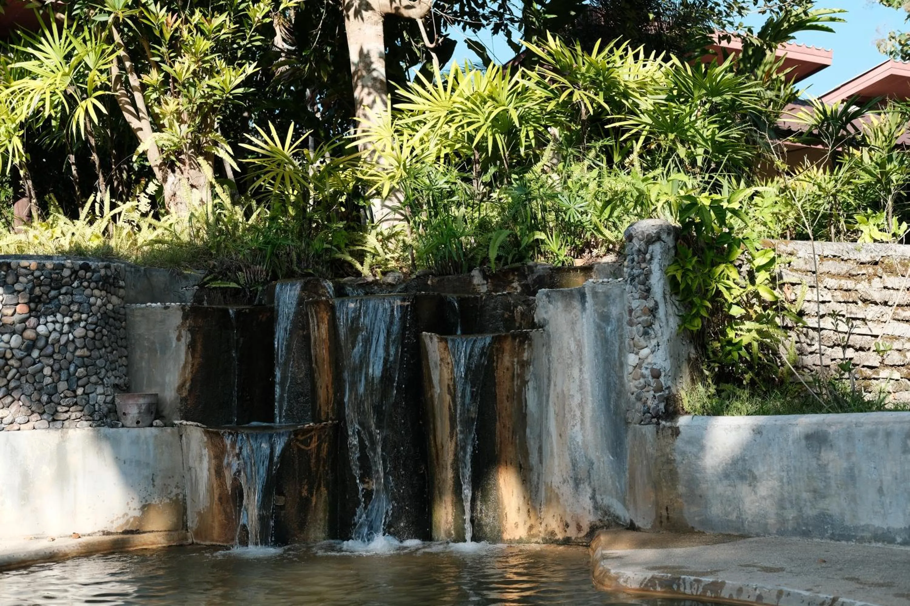 Day in Pairadise Hotel