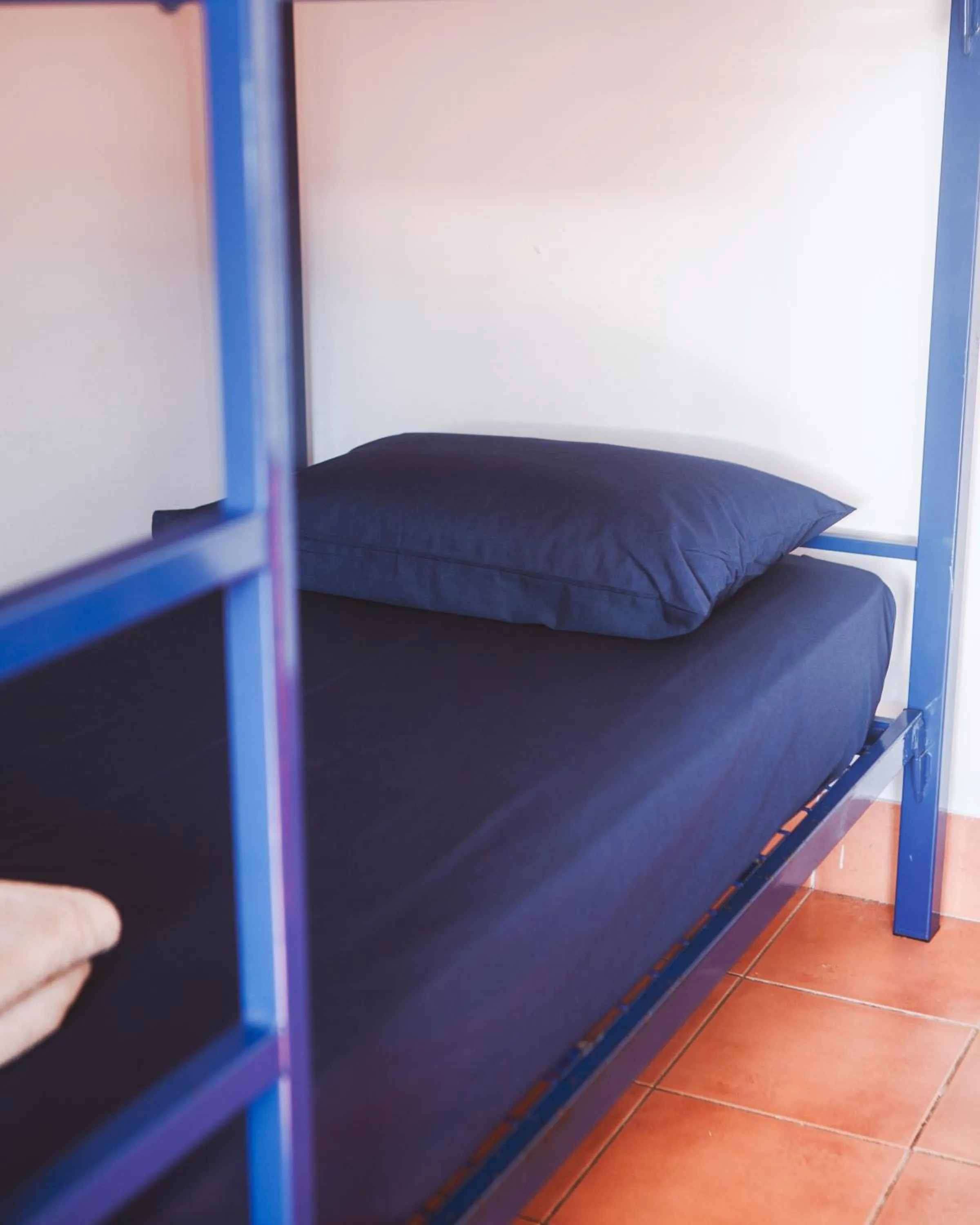 bunk bed in Budds In Surfers Backpackers