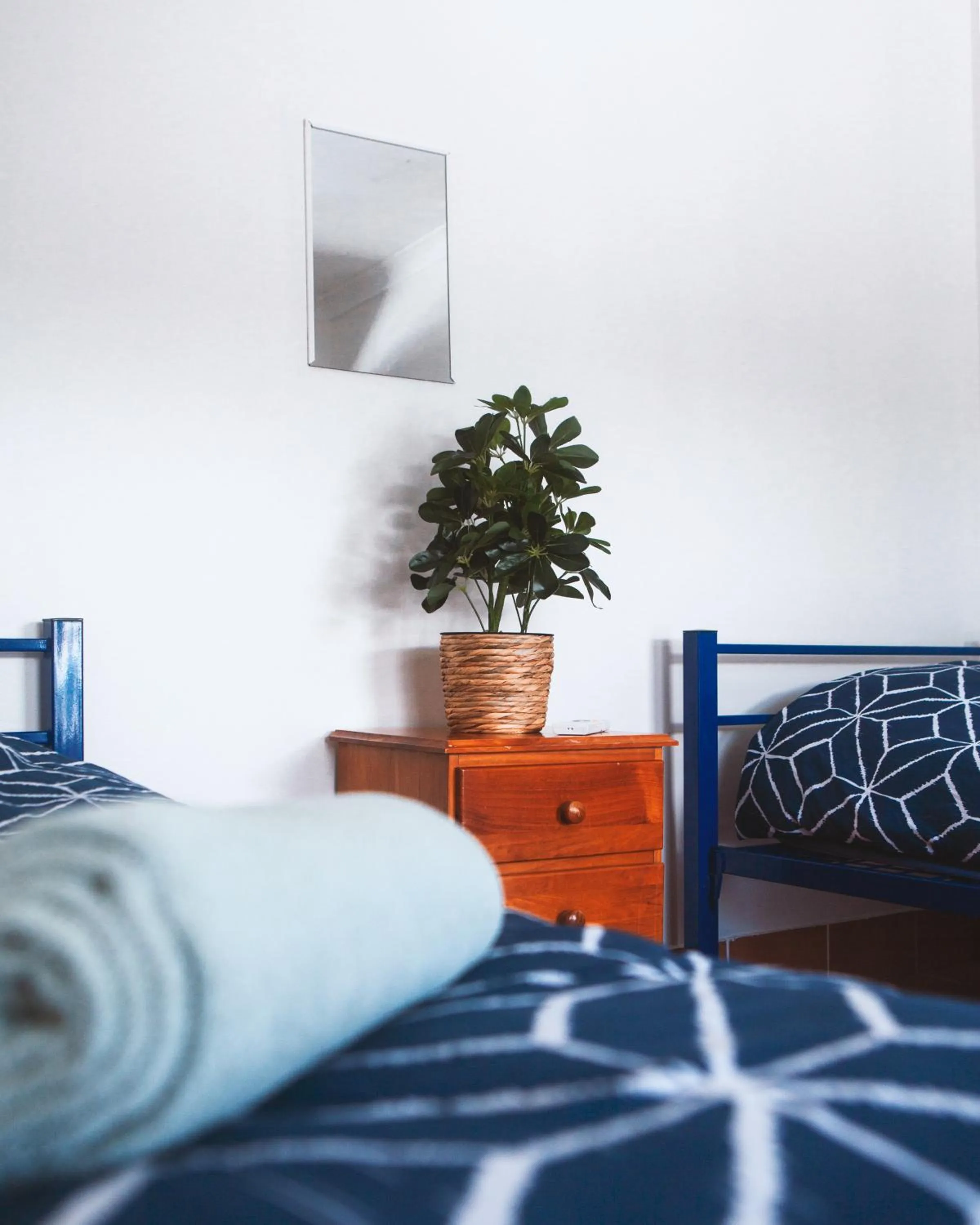 Bedroom in Budds In Surfers Backpackers