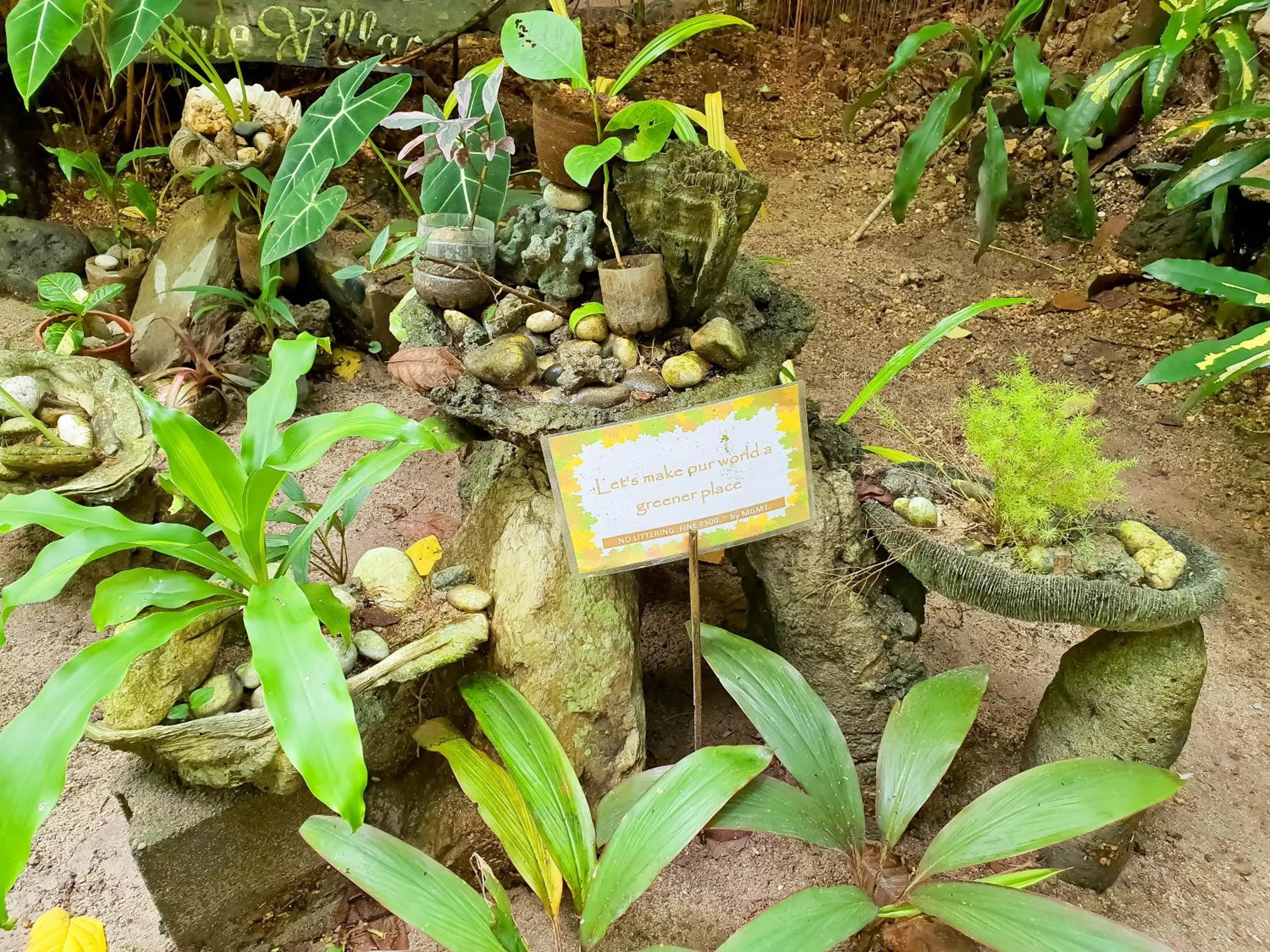 Garden in Cocoloco Beach Resort