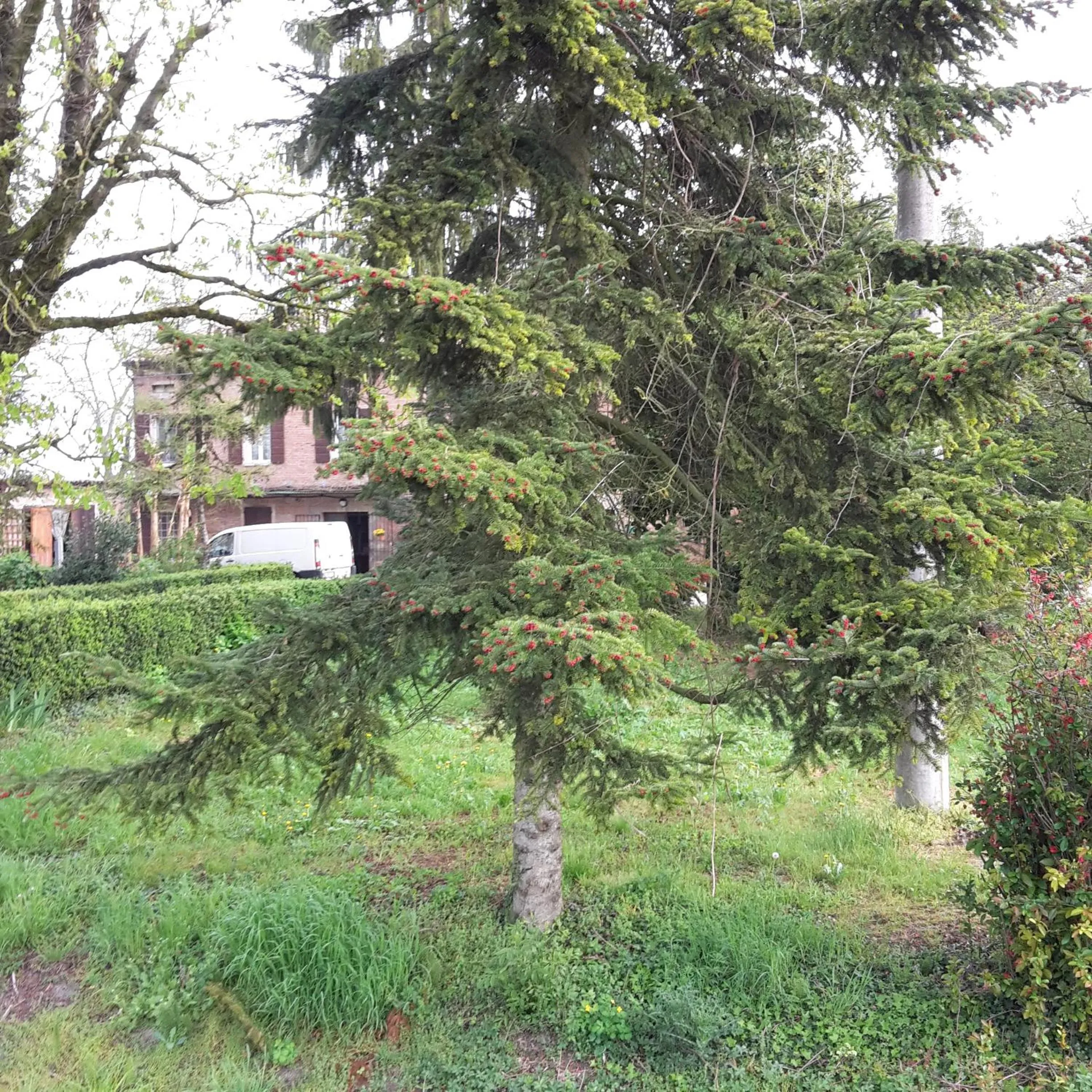 Property building in Agriturismo Dosso al Porto