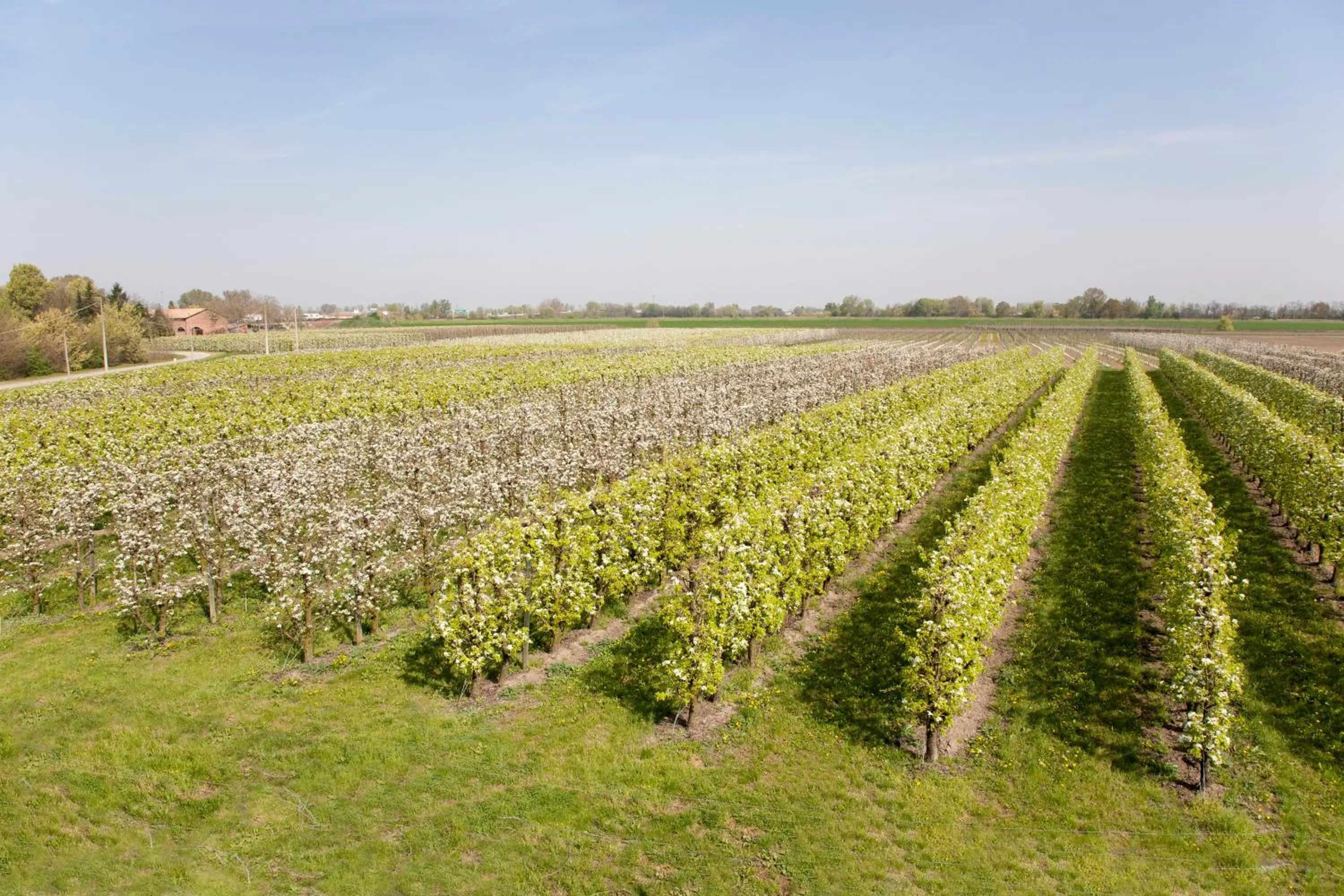 Spring in Agriturismo Dosso al Porto